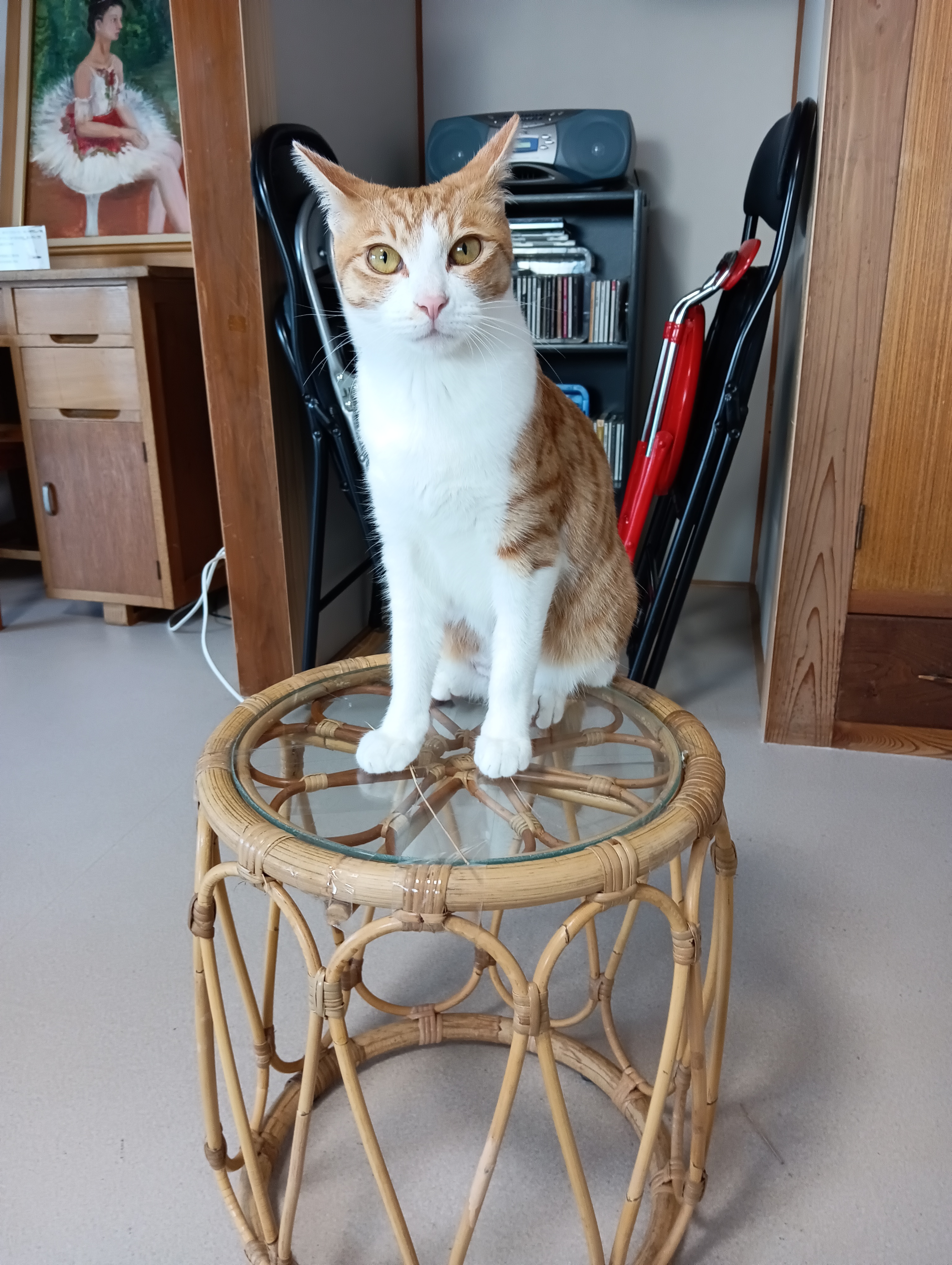　　　　　　　　　　　　　　　　　　　　　　　　　　　　　　　　　　お山の大将ぼく一人