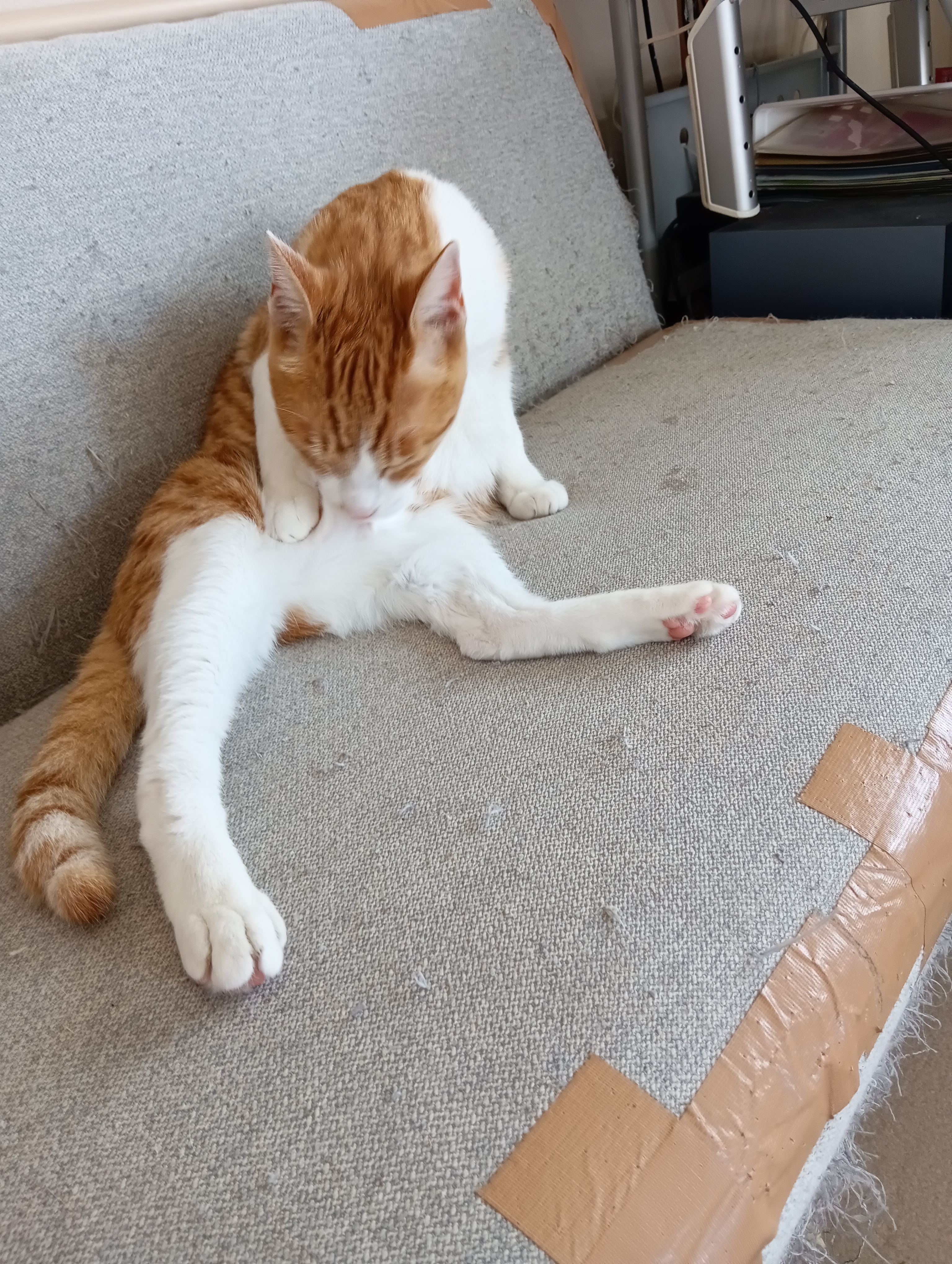 　　　　　　　　　　　　　　　　　　　　　　　　　　　　　　　最後はこんなんにゃあ