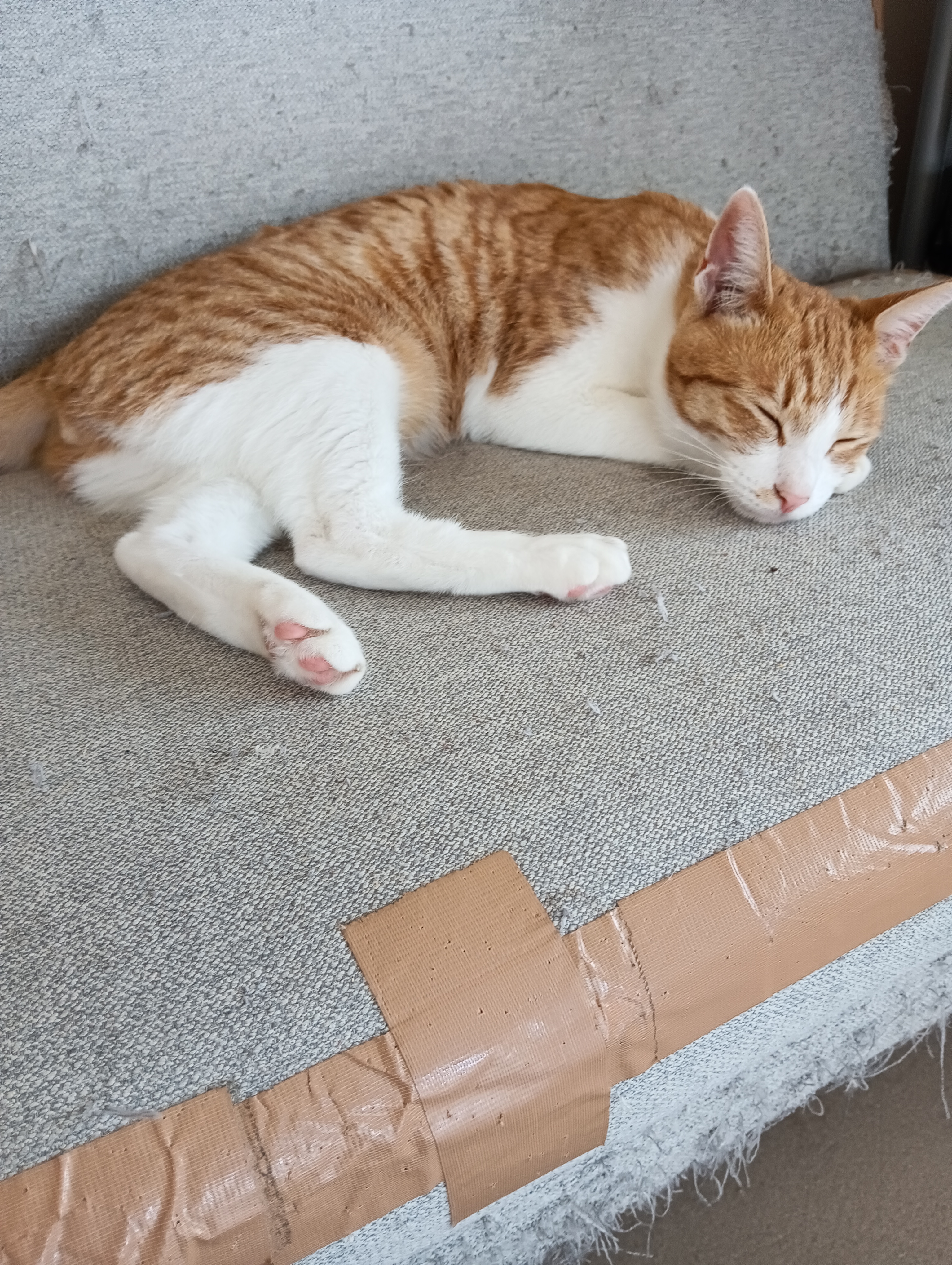                                                                     ふう！疲れたにゃあ、おしまい