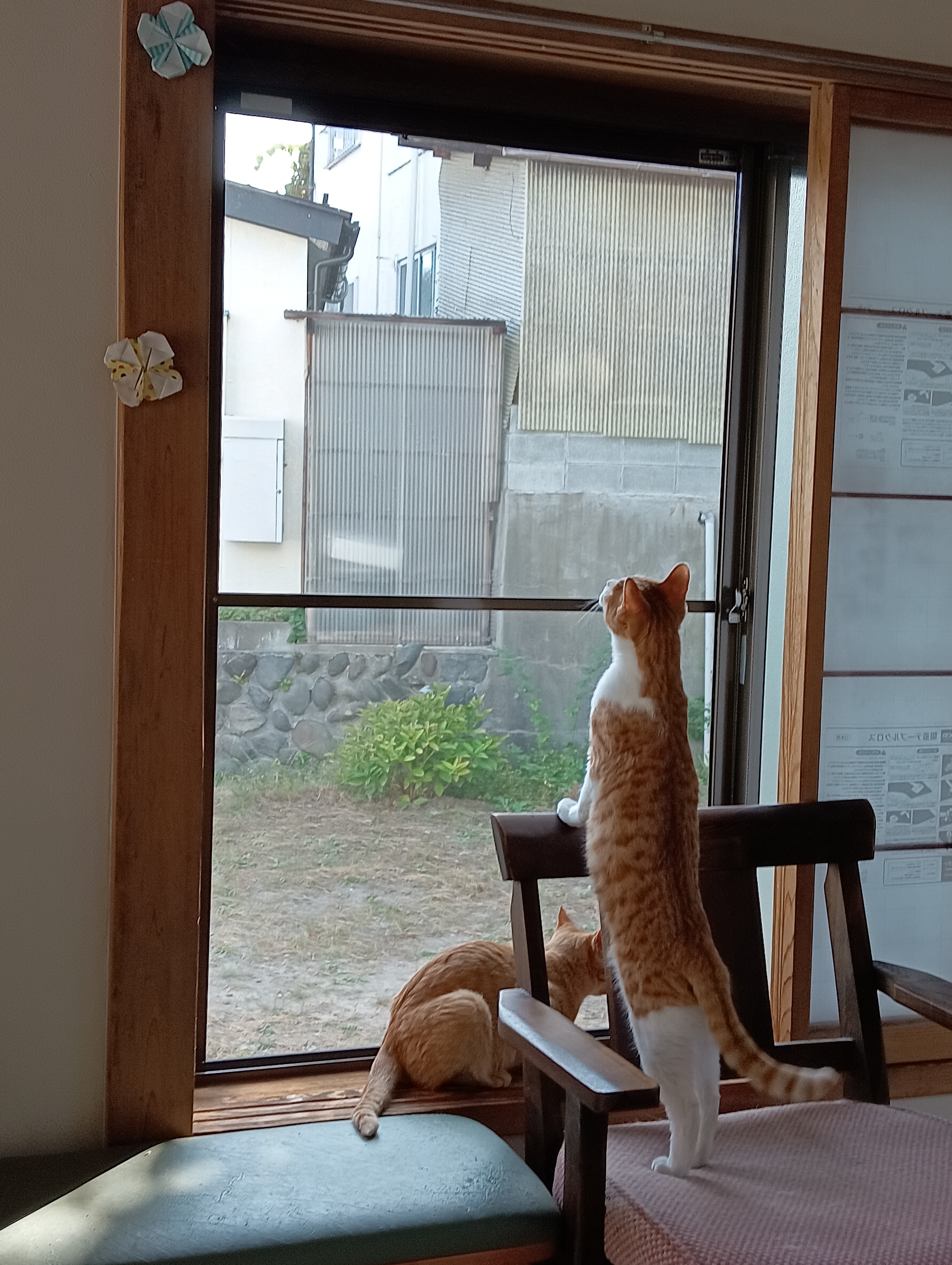                                                                   あ！怪しい虫だ！