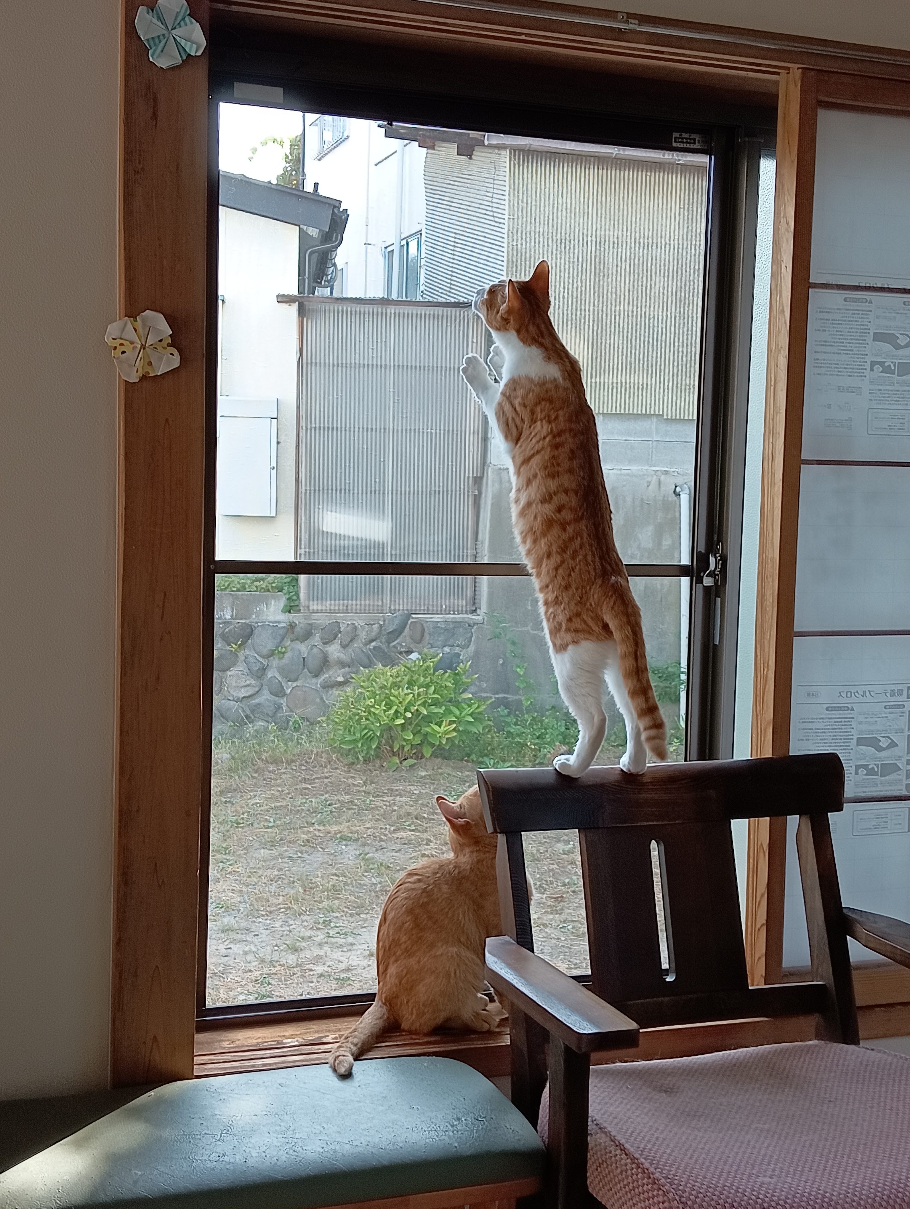 　　　　　　　　　　　　　　　　　　　　　　　　　　　　　　　　　　　おのれ！食べちゃる！