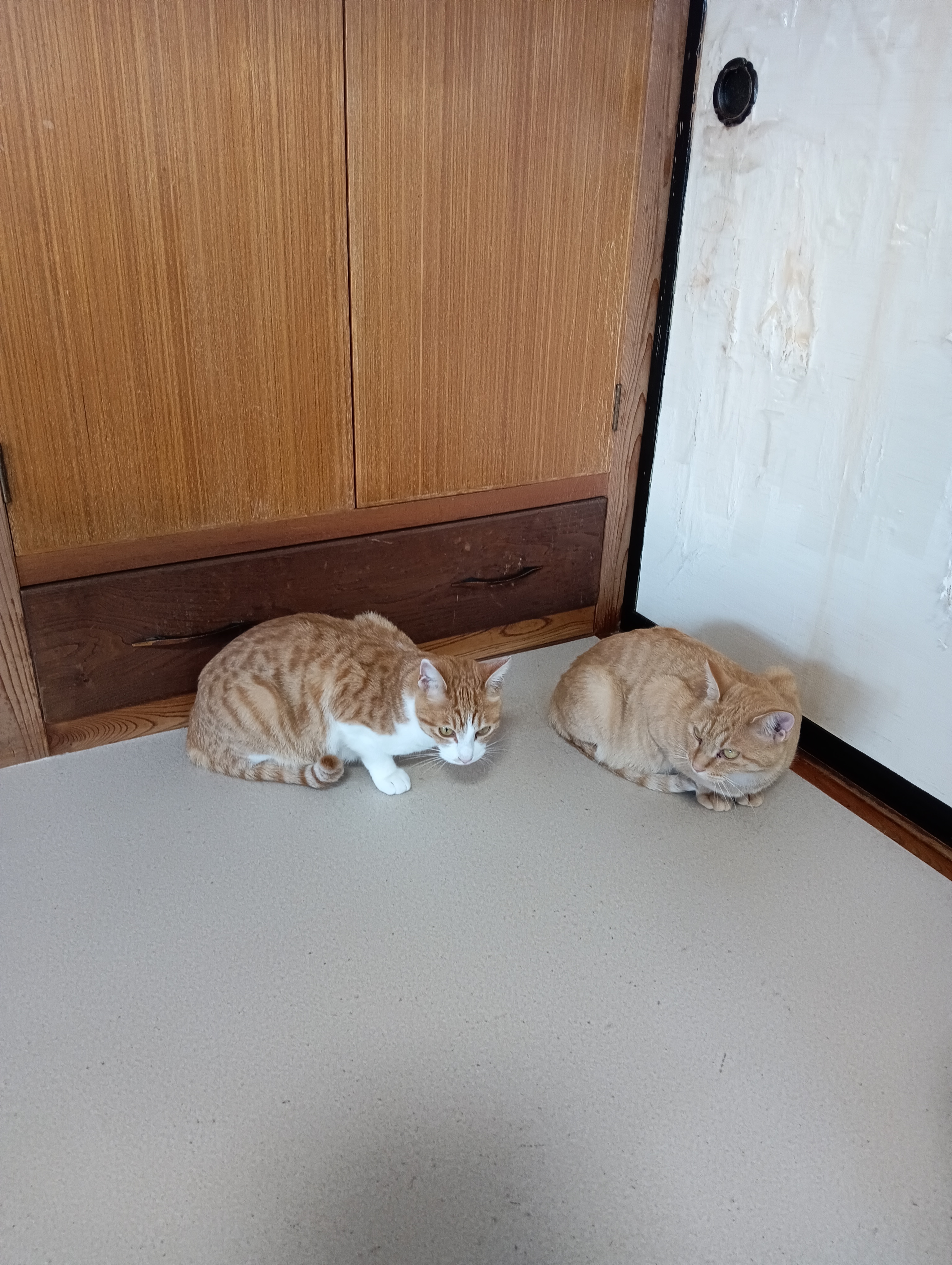 　　　　　　　　　　　　　　　　　　　　　　　　　　　　　　　　　　　これでいい？うんそうそう