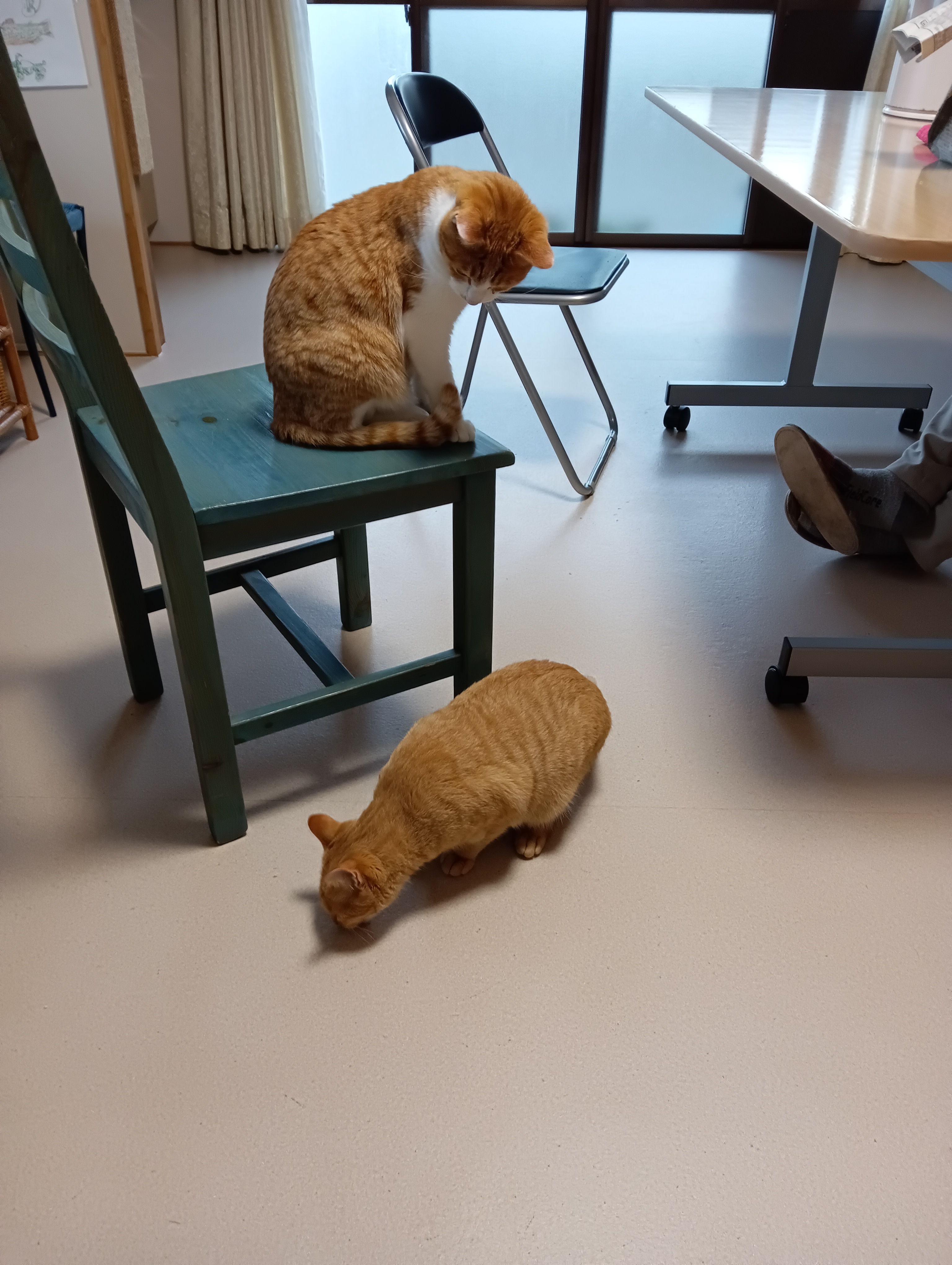 　　　　　　　　　　　　　　　　　　　　　　　　　　　　　　　　なになに、ぼくにも見せて
