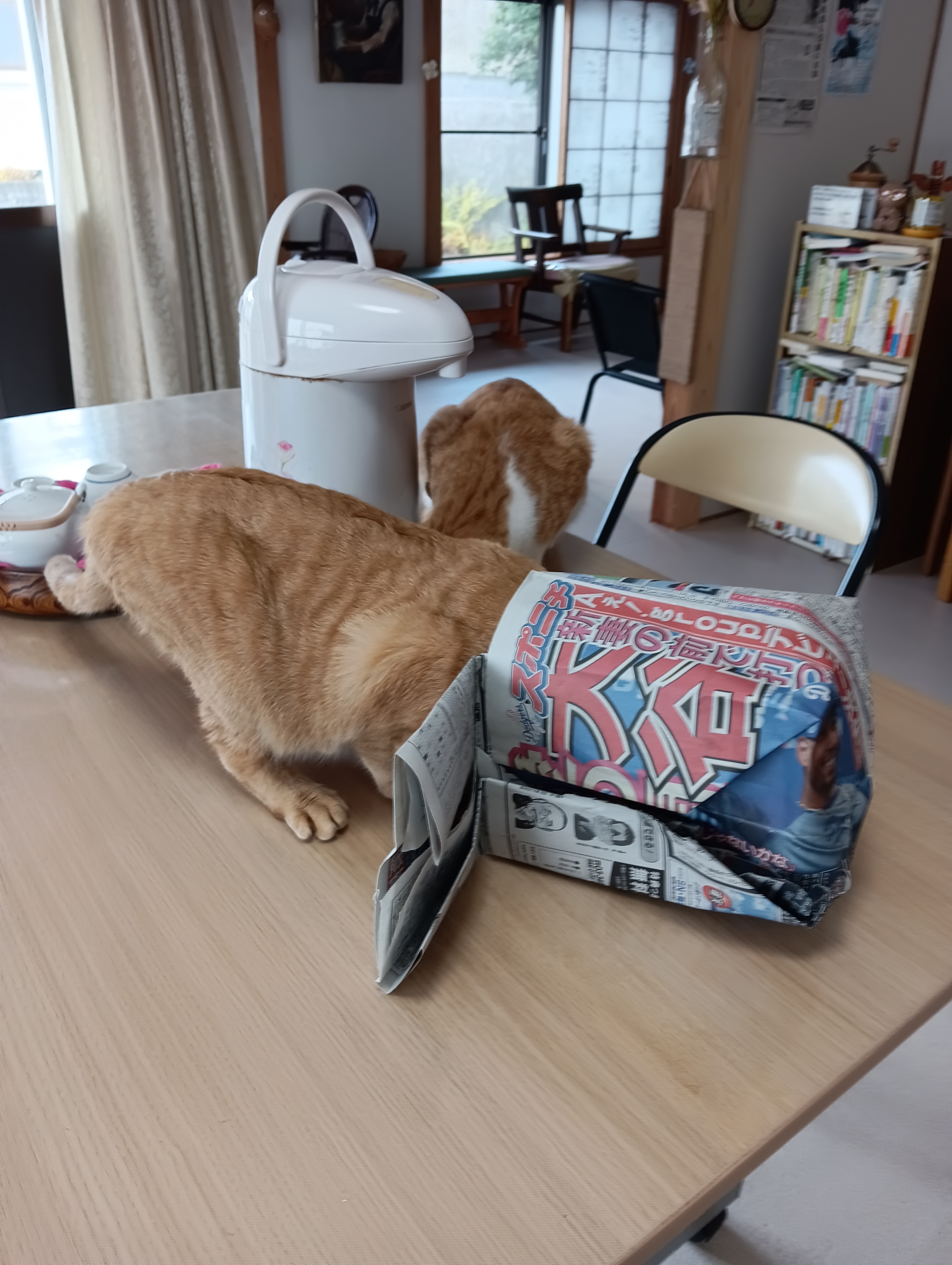 　　　　　　　　　　　　　　　　　　　　　　　　　　　　　　　あたいには見えるの、ほらいるよ