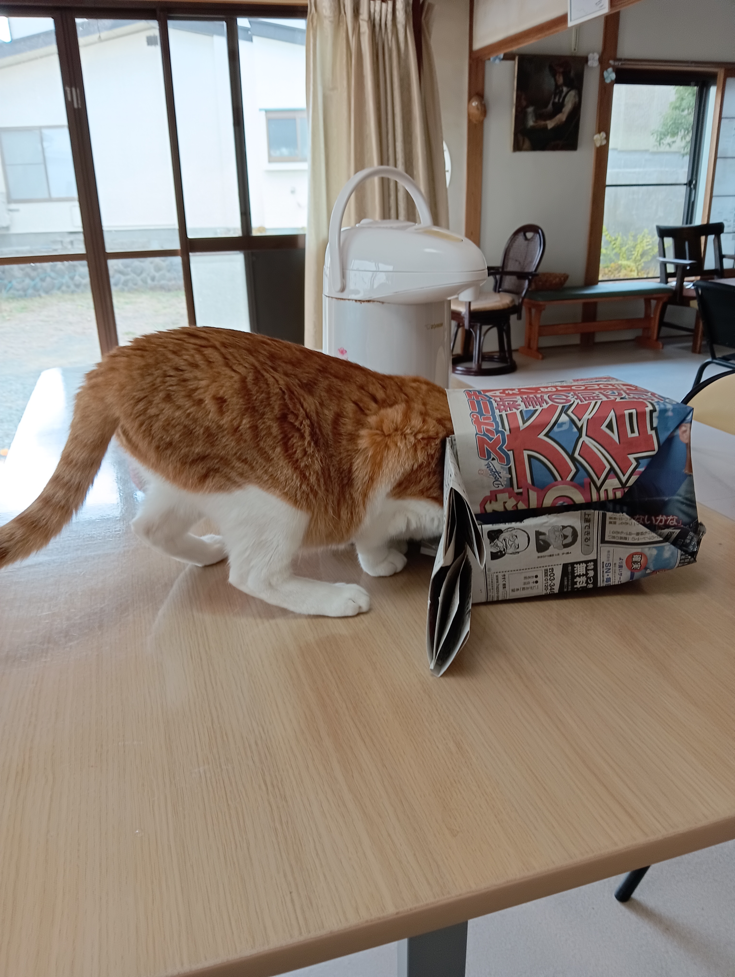 　　　　　　　　　　　　　　　　　　　　　　　　　　　　　　　　　　　　大谷さーん、頑張って！！
