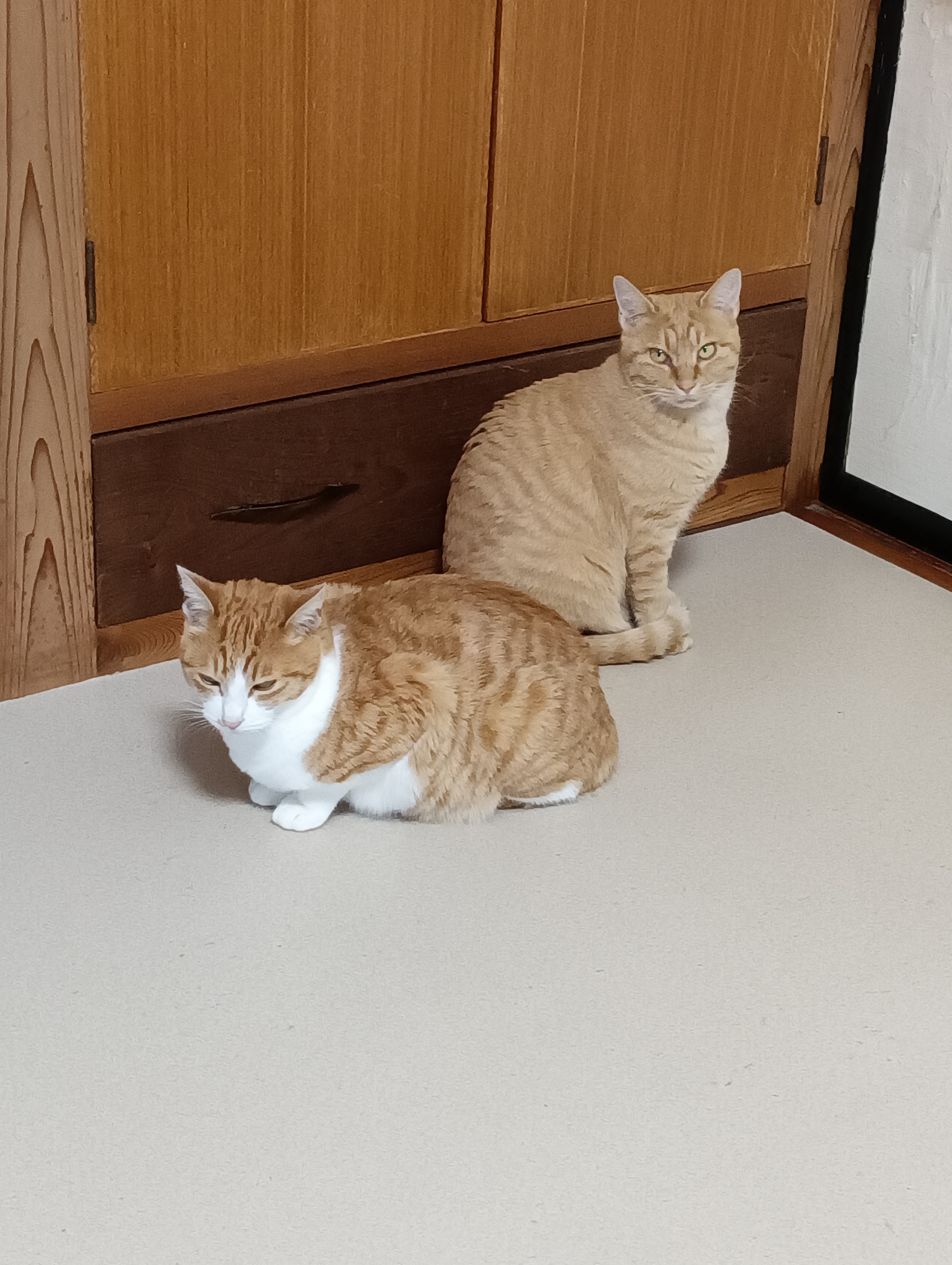 　　　　　　　　　　　　　　　　　　　　　　　　　　　　　それにしても、今日は遅いにゃあ