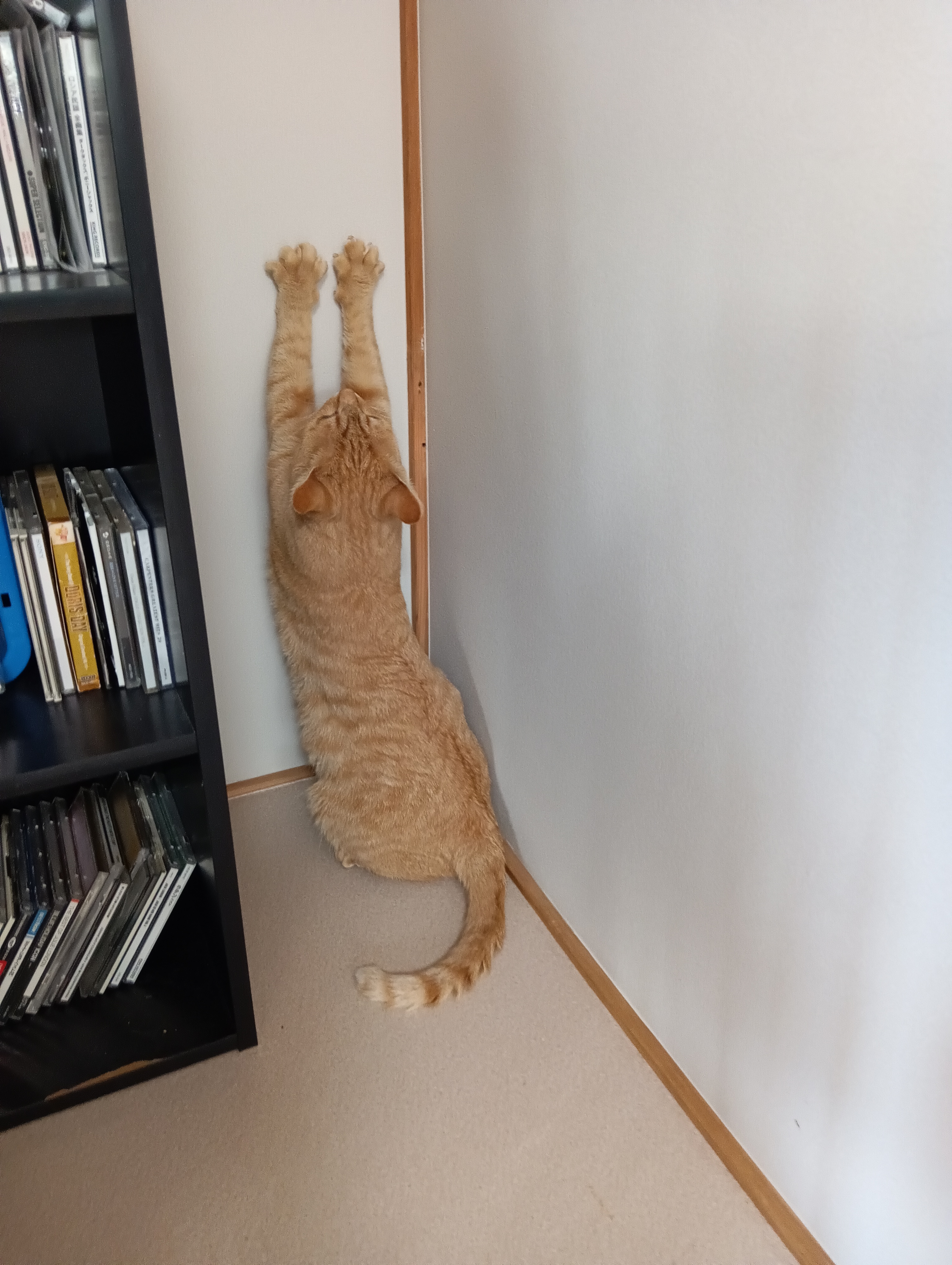 　　　　　　　　　　　　　　　　　　　　　　　　　　　　　　　　　もーやだ～こんな生活