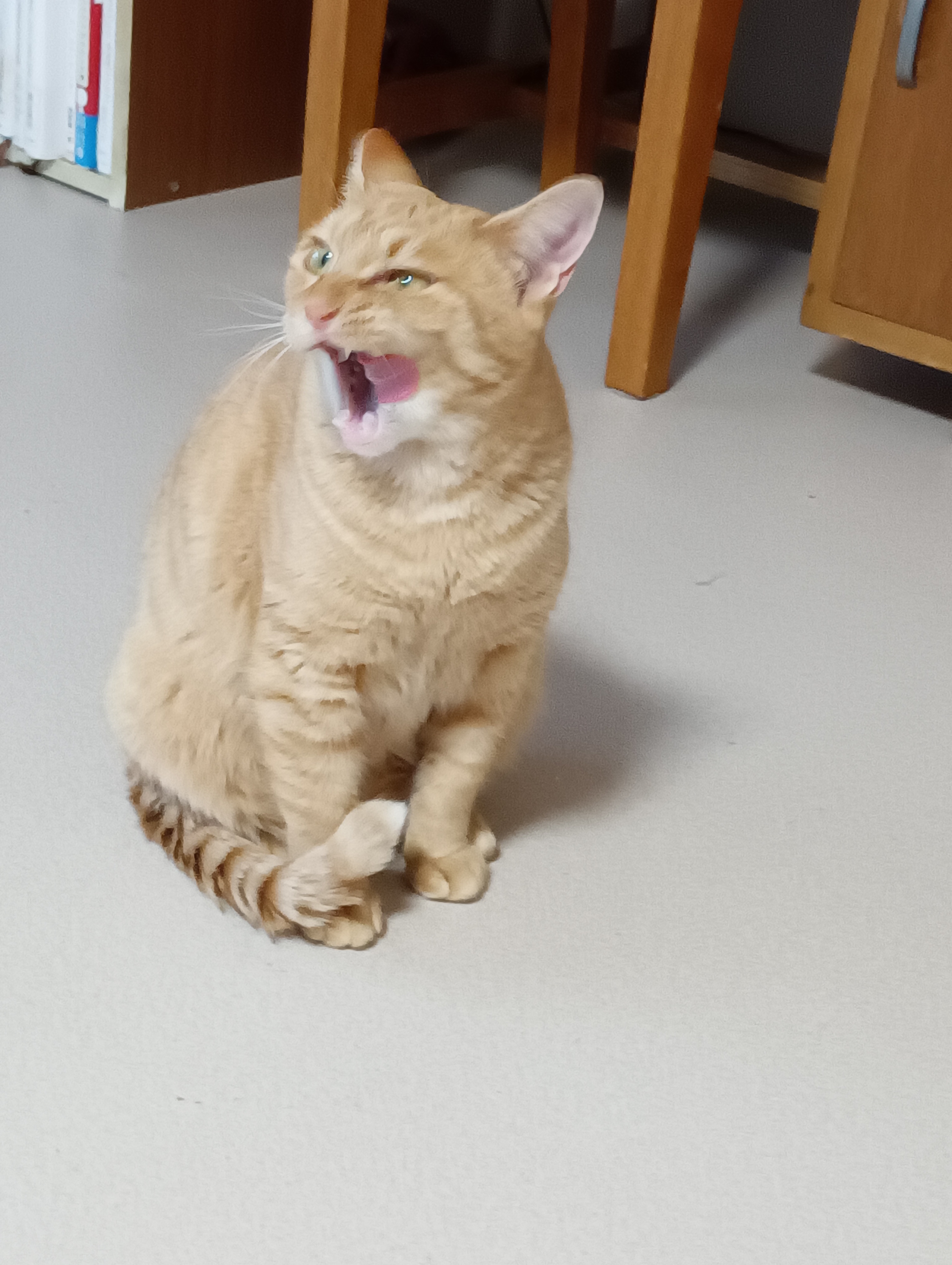 　　　　　　　　　　　　　　　　　　　　　　　　　ふぁー！食った食った、満足まんぞく！
