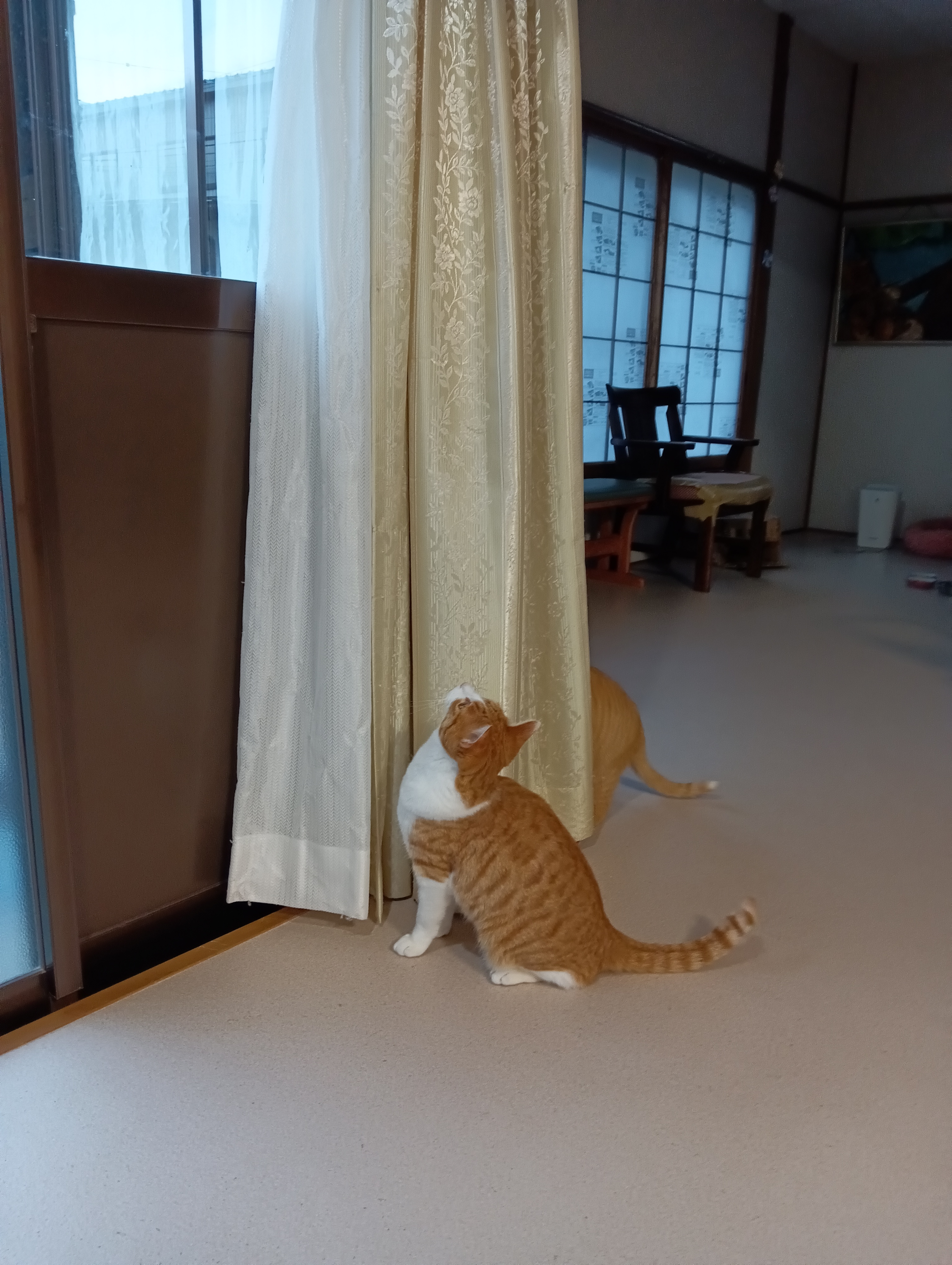                                                              あんなところになんかある！？
