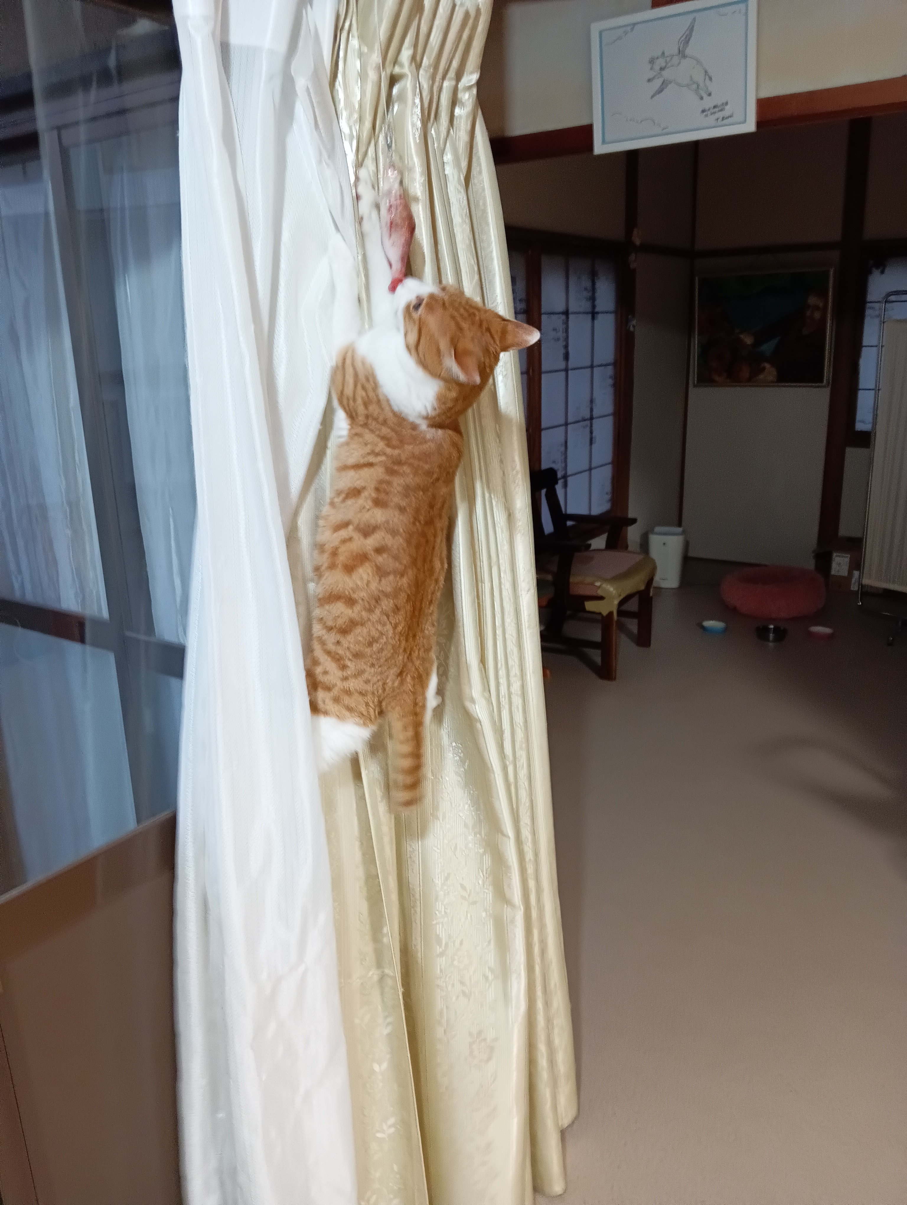 　　　　　　　　　　　　　　　　　　　　　　　　　　　　　　　もう少しにゃ！