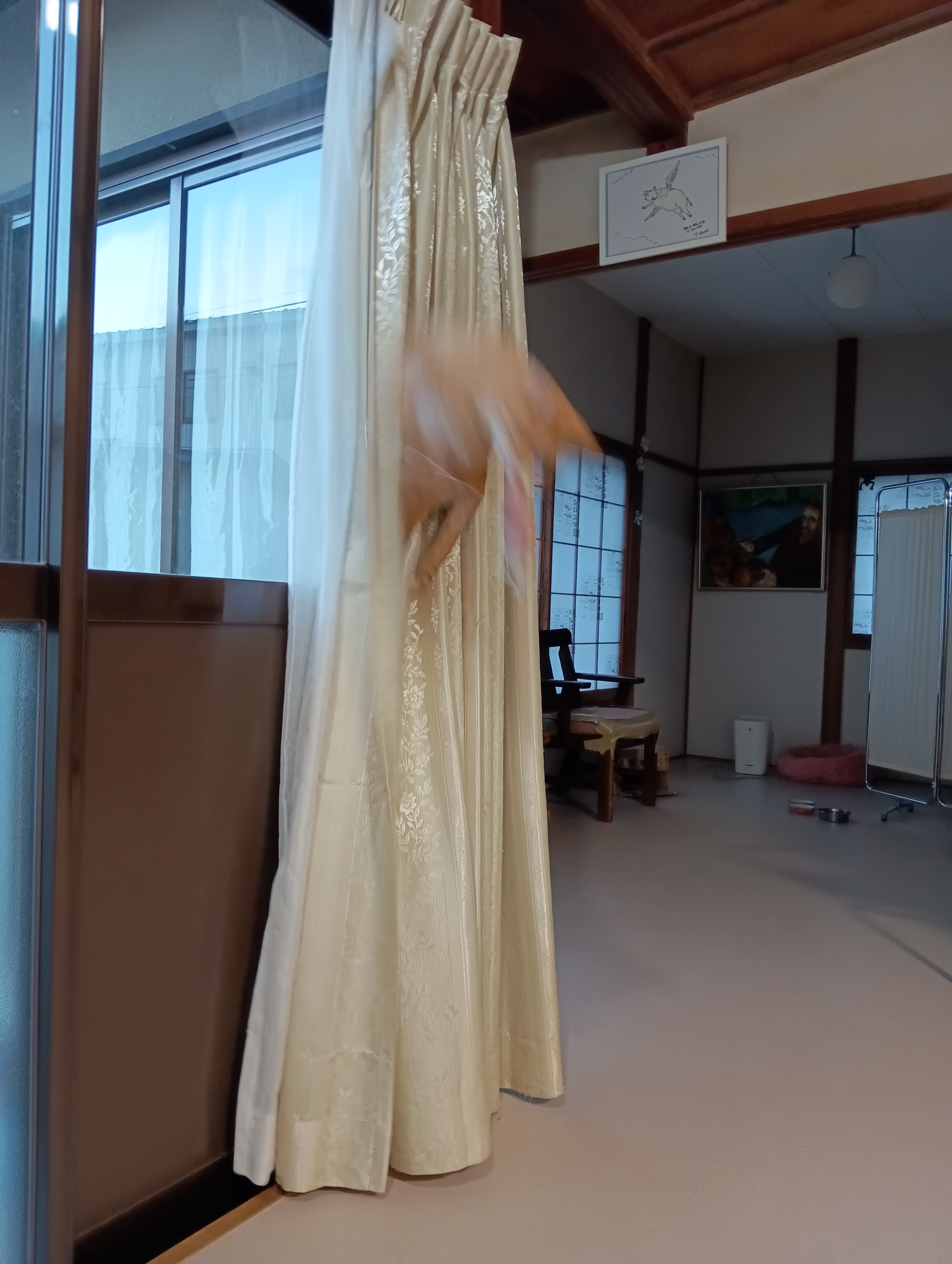 　　　　　　　　　　　　　　　　　　　　　　　　　　　　　　ニャー！！落ちるう！！！