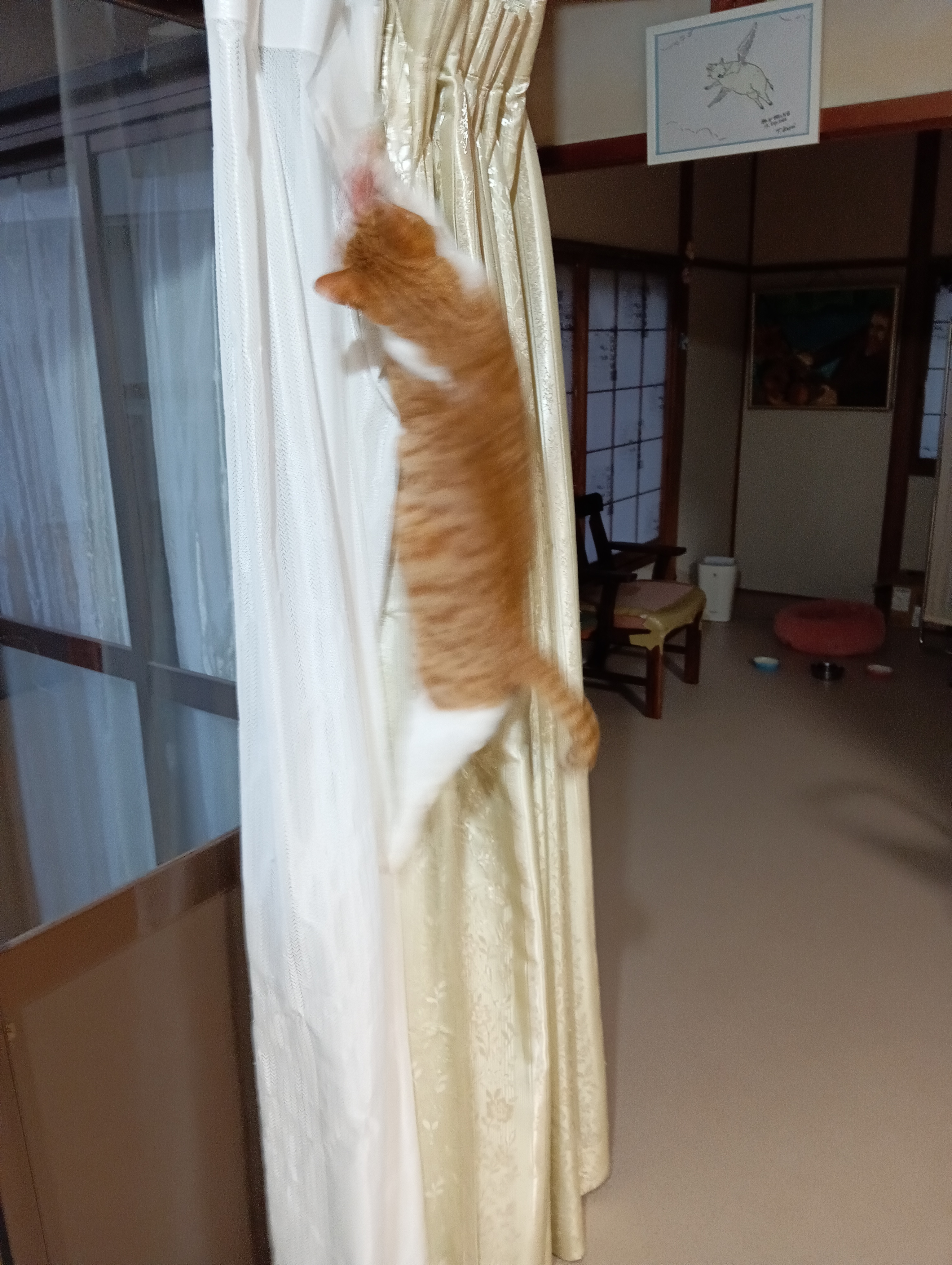 　　　　　　　　　　　　　　　　　　　　　　　　　　　アー！！今日は体調悪い、落ちるー！！