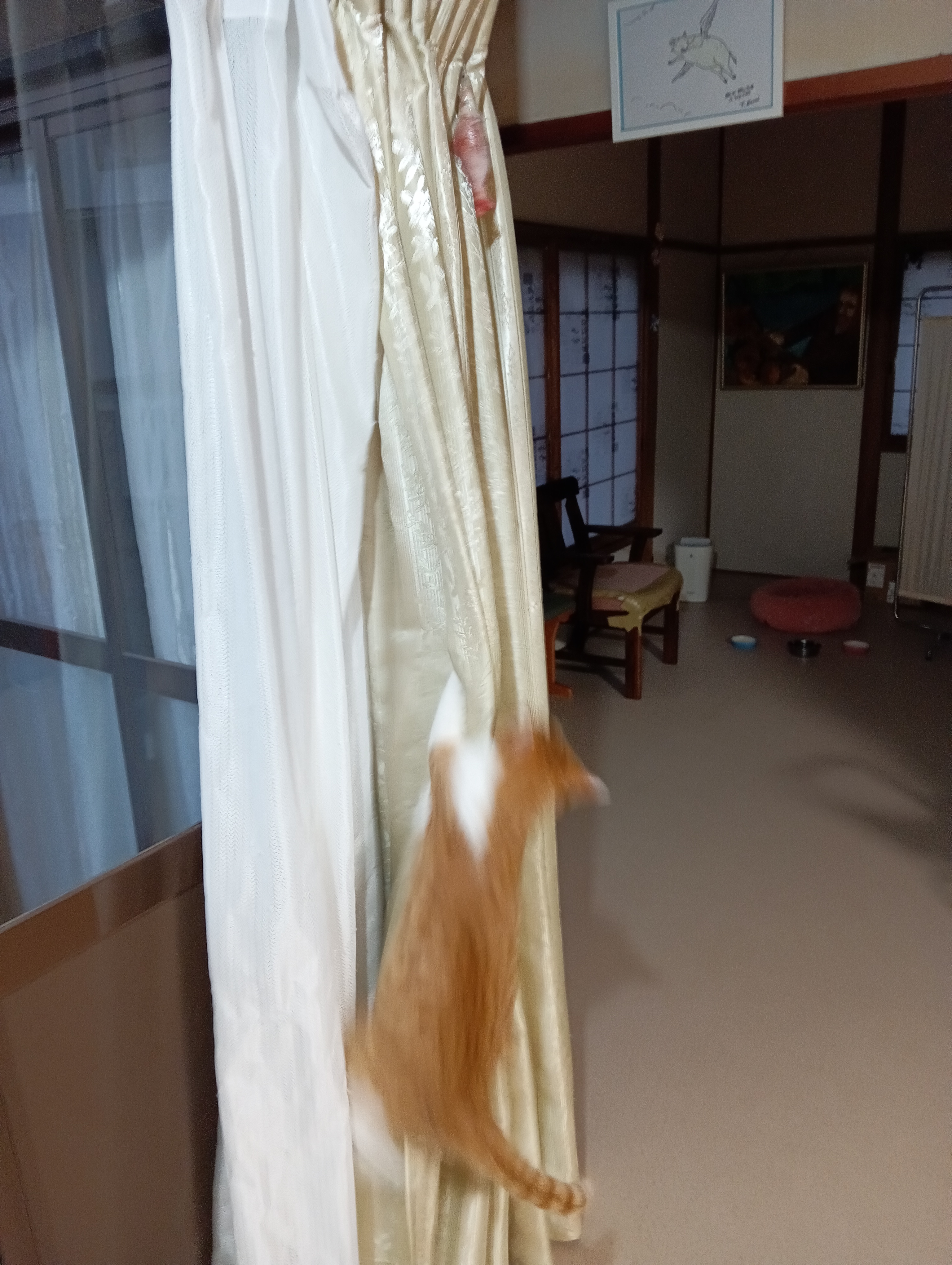 　　　　　　　　　　　　　　　　　　　　　　　　　　　　　　　　　落ちたー助けて！！！！