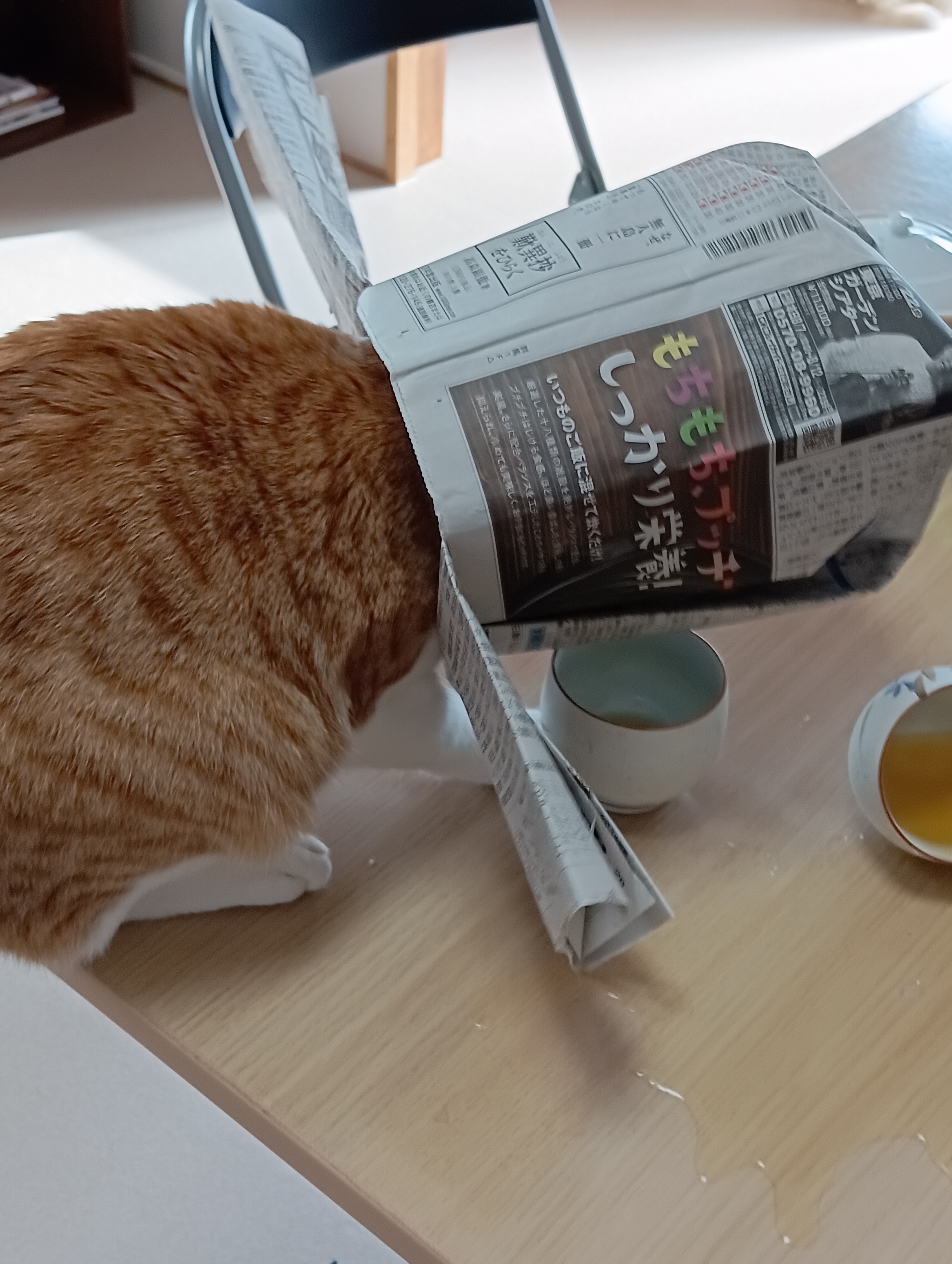 　　　　　　　　　　　　　　　　　　　　　　　　　シーチャンなにしてるの！お茶こぼしてー