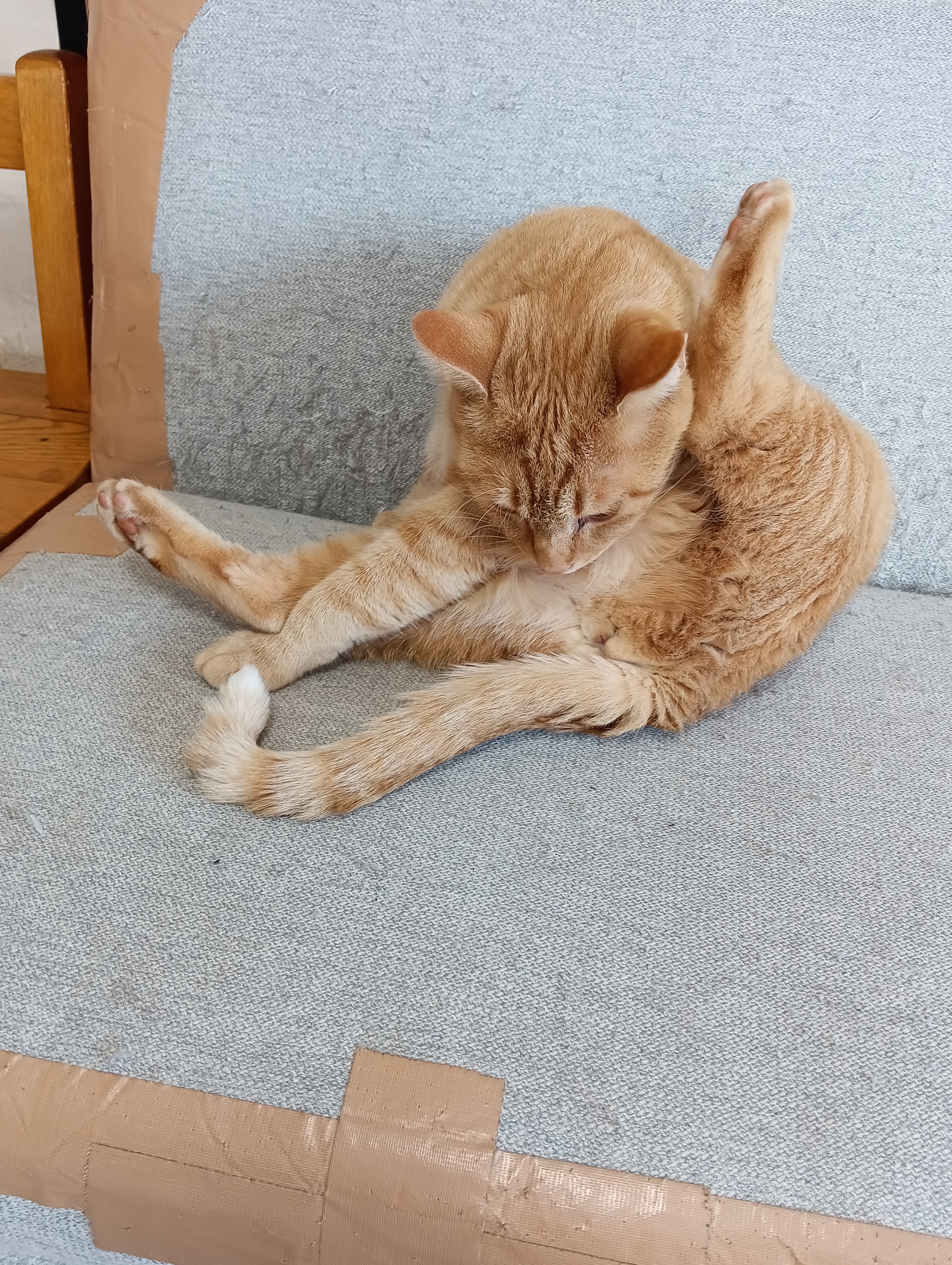 　　　　　　　　　　　　　　　　　　　　　　　　　　　　　　　　次はこれ、ちょっと難しいわよ