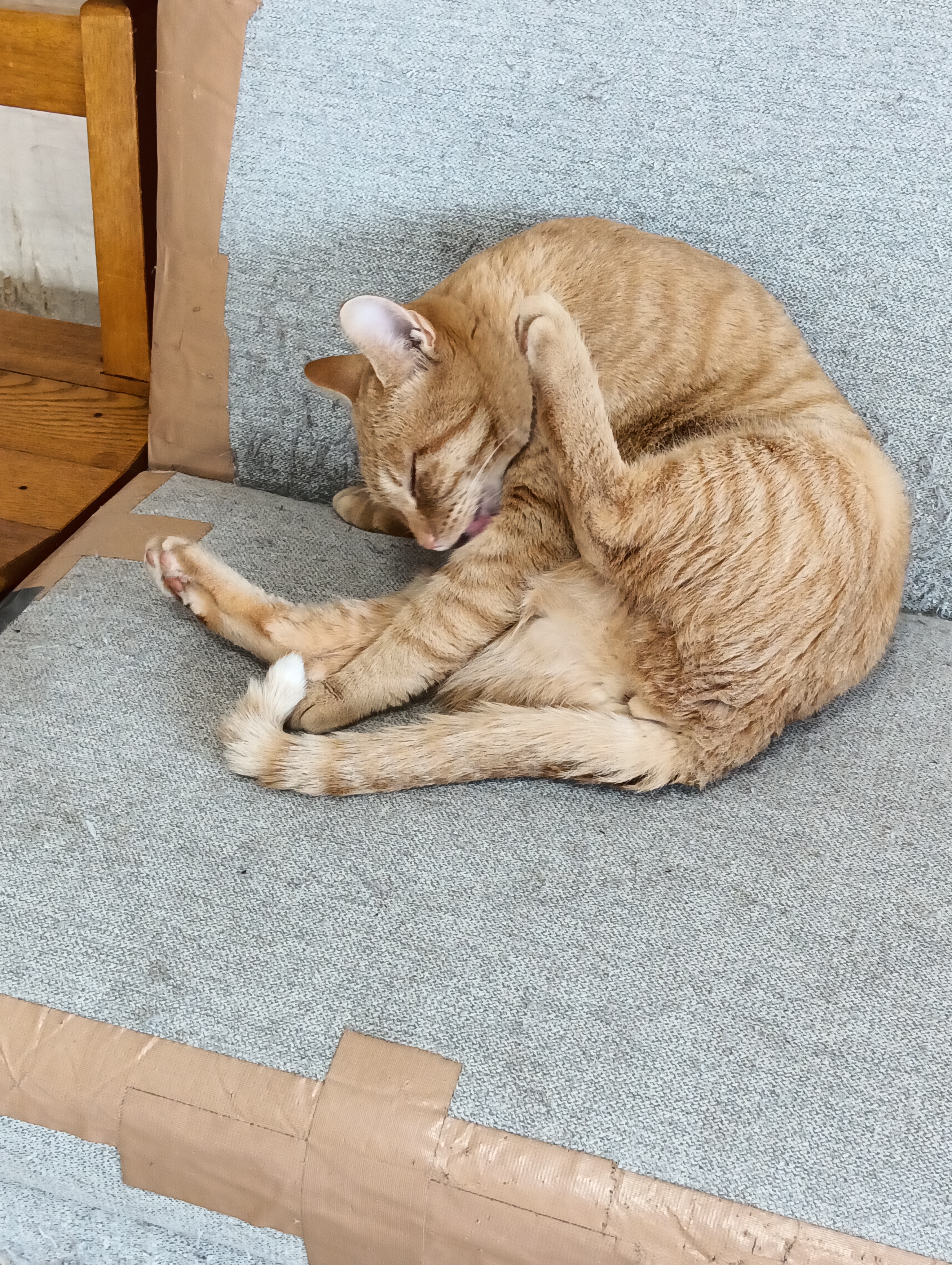 　　　　　　　　　　　　　　　　　　　　　　　　　　　　　　最後はこれよ
