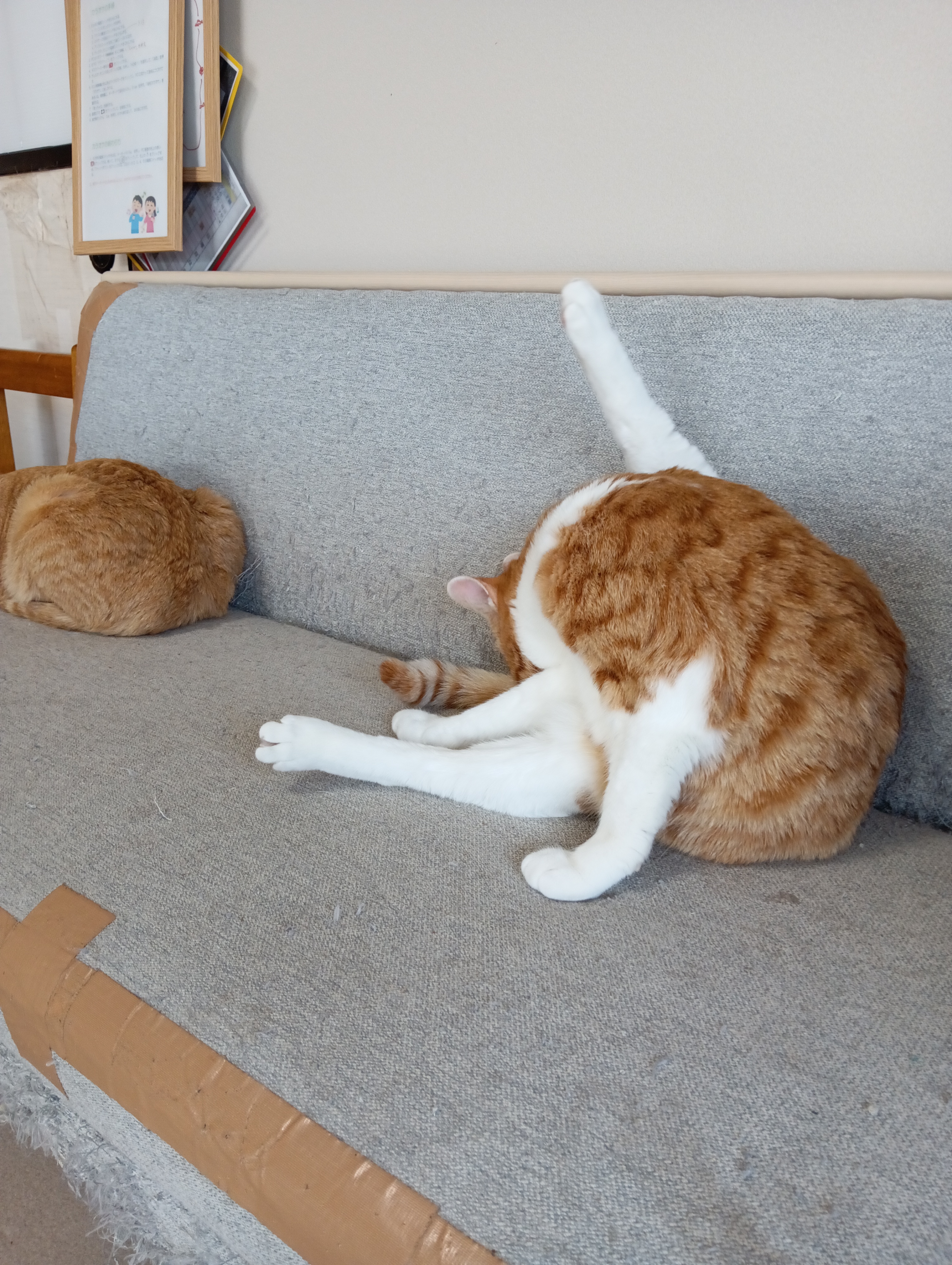 　　　　　　　　　　　　　　　　　　　　　　　　　　　　　　　　　次はこれ、ちょっと難しいよ