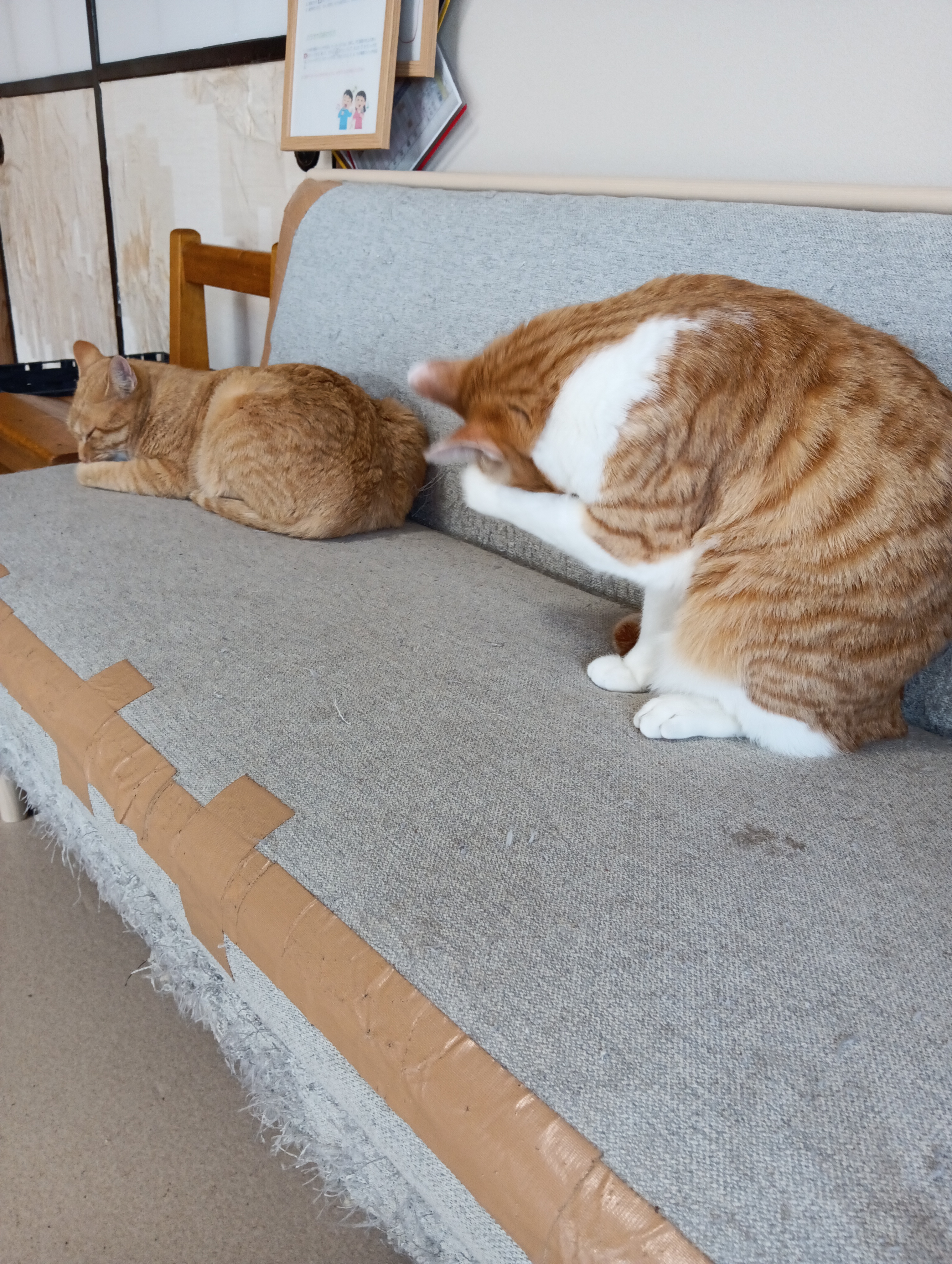 　　　　　　　　　　　　　　　　　　　　　　　　　　　　　　　　　　　　　つかれたにゃあ、やめよう
