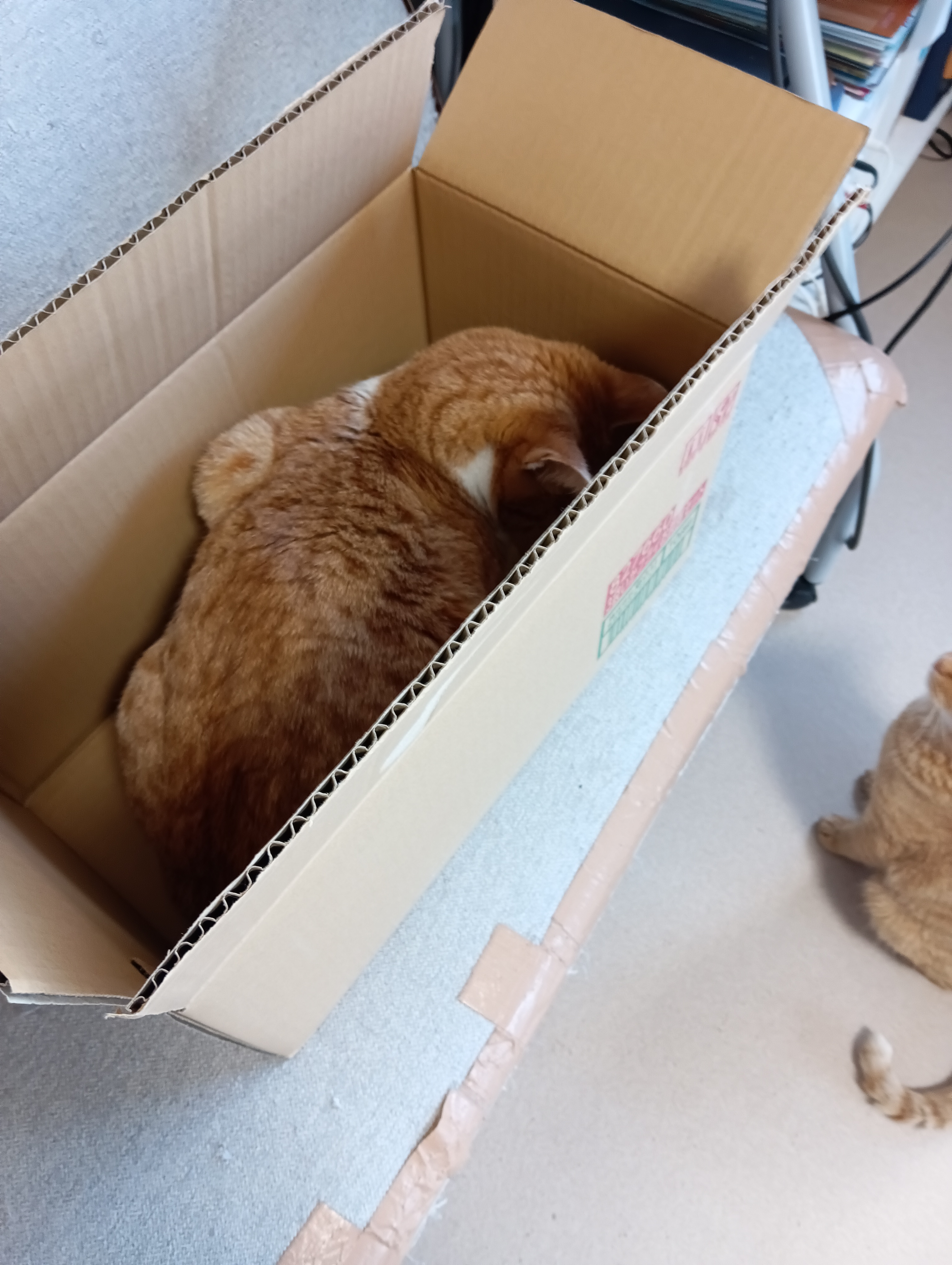 　　　　　　　　　　　　　　　　　　　　　　　　　　　　　どうか見つかりませんように・・・