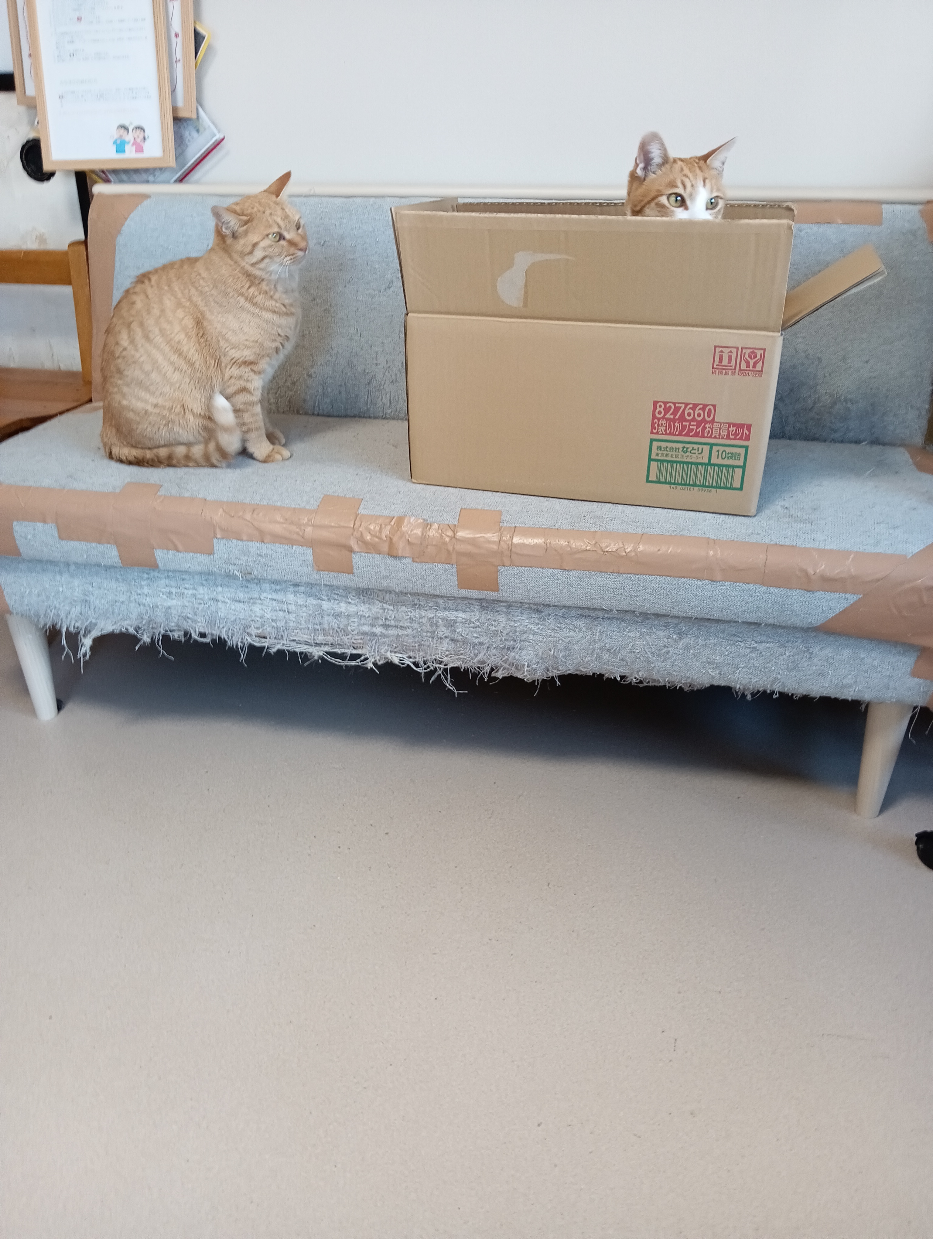 　　　　　　　　　　　　　　　　　　　　　　　　　どこ行ってたの！　あっちのほう・・