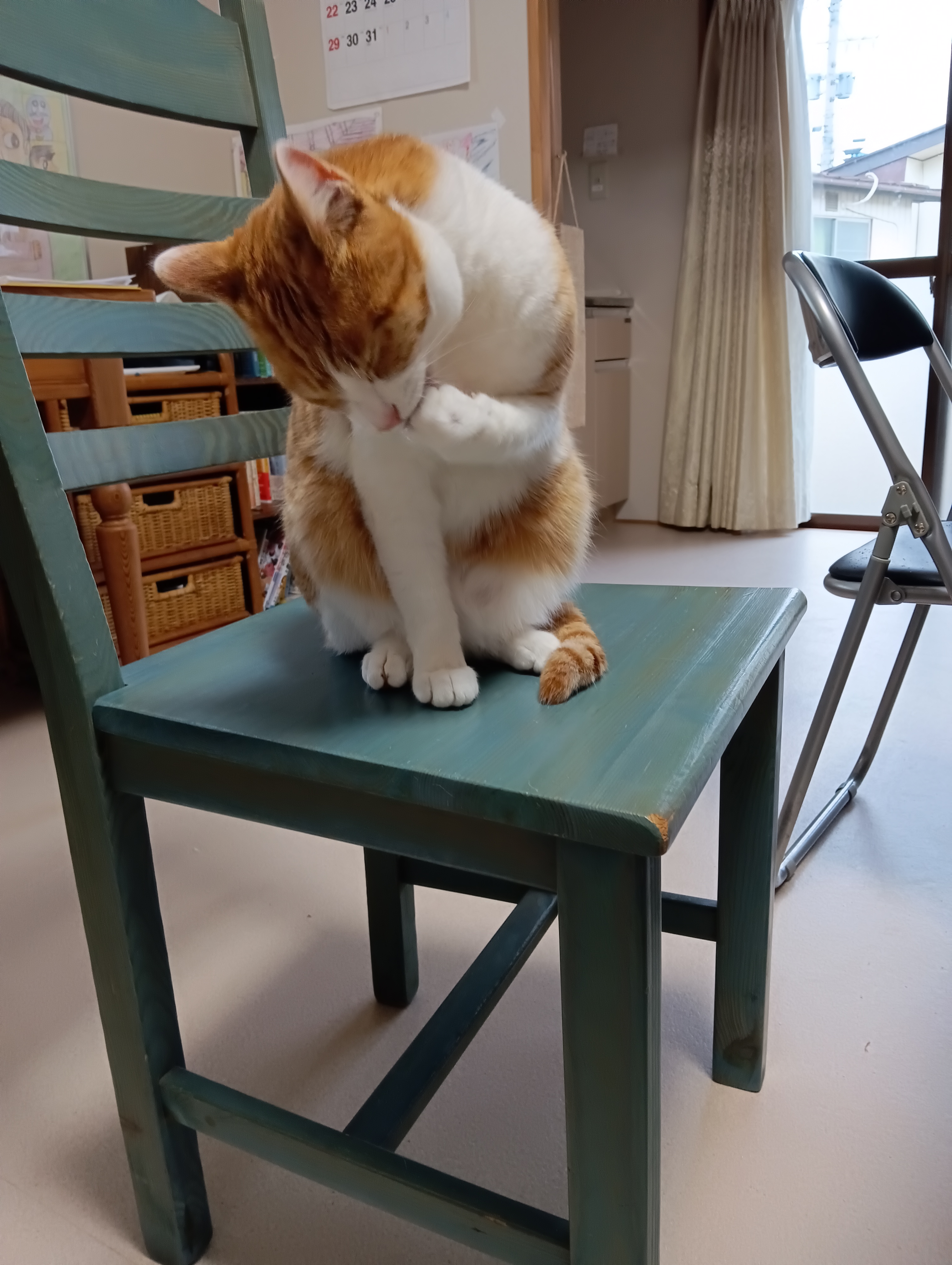 　　　　　　　　　　　　　　　　　　　　　　　　　　　　　　　　　　そして左前足
