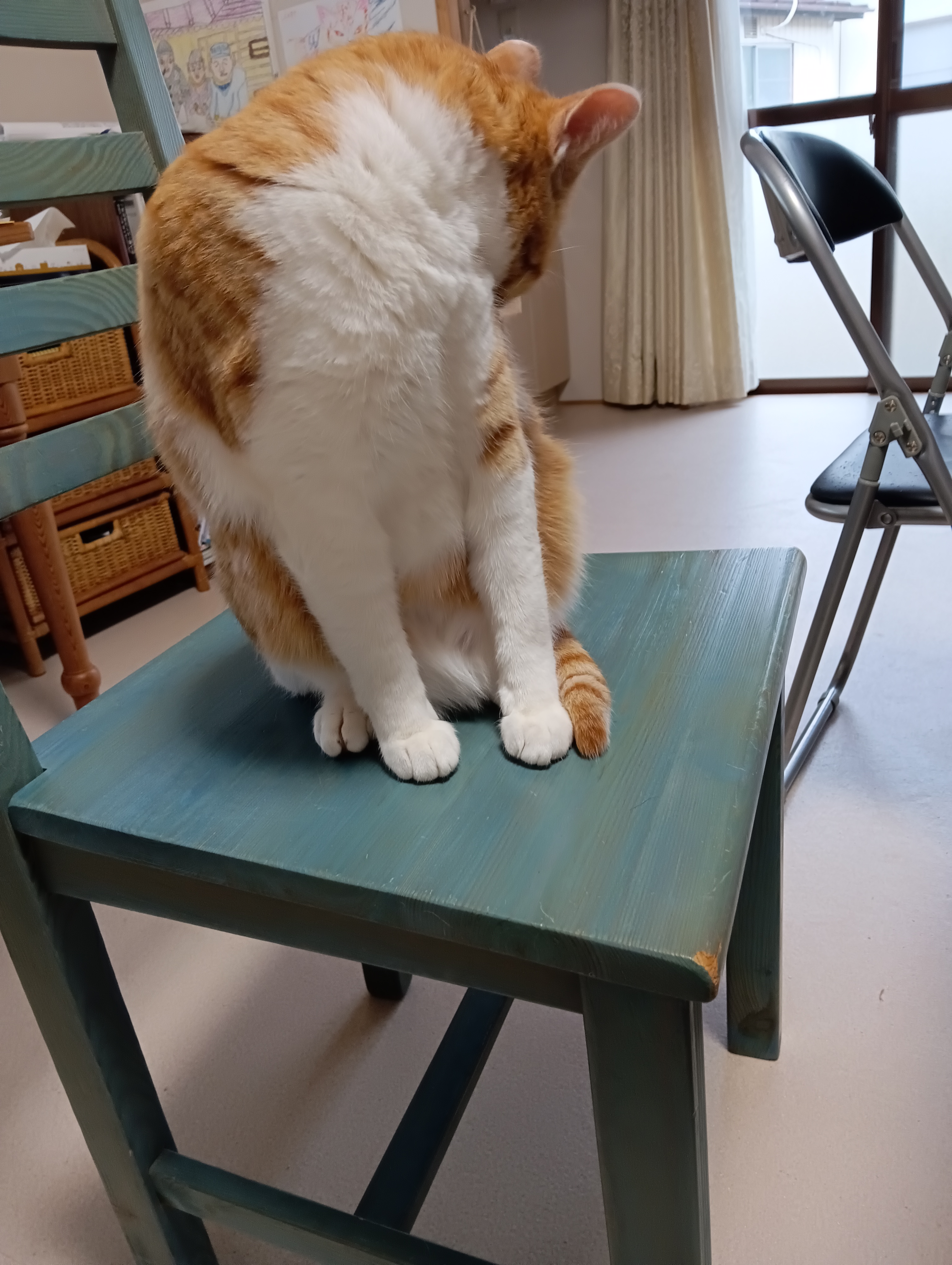 　　　　　　　　　　　　　　　　　　　　　　　　　　　　　　　　　　　最後は背中にゃあ