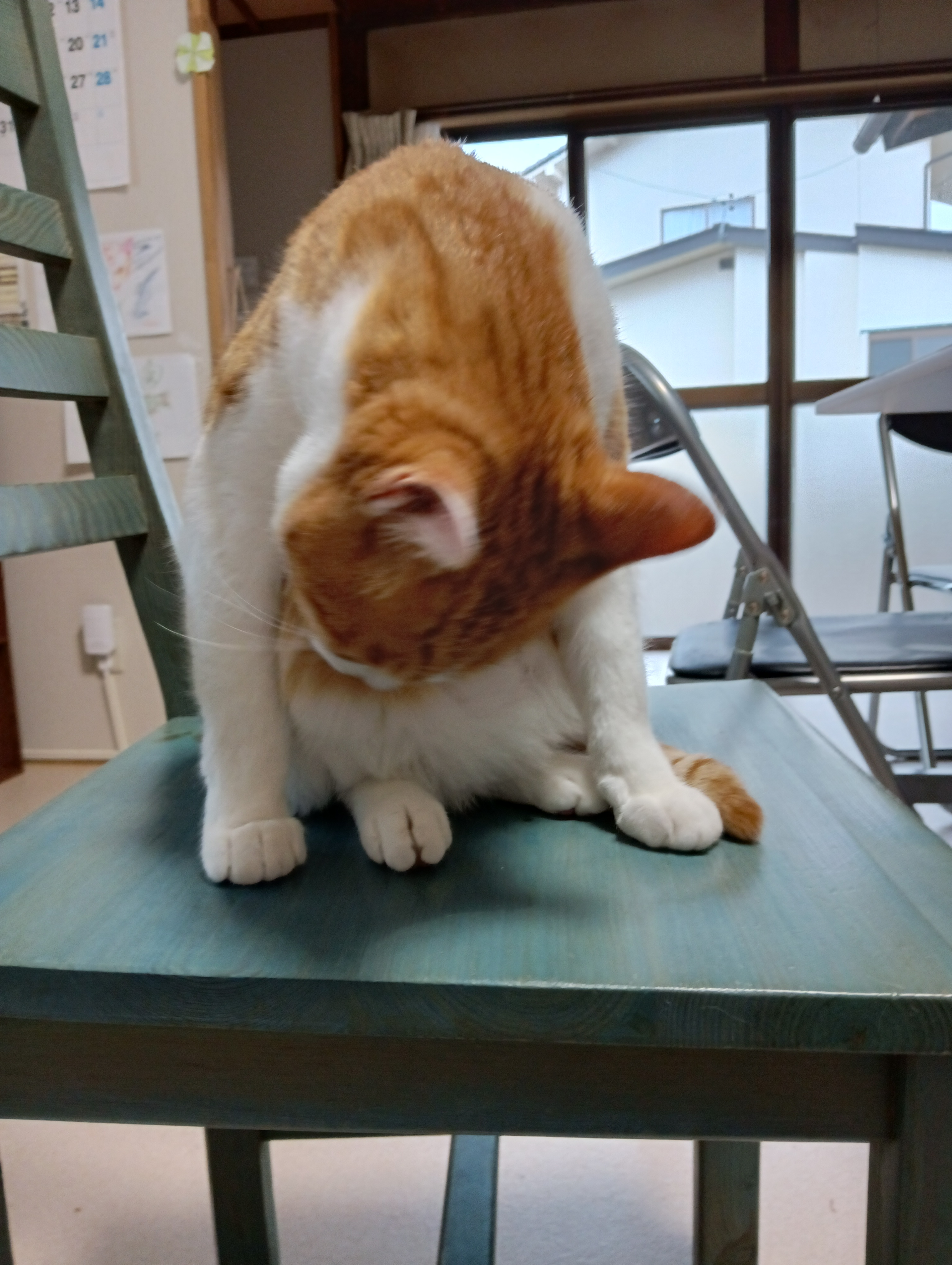                                                                 おなかは特に念入りに