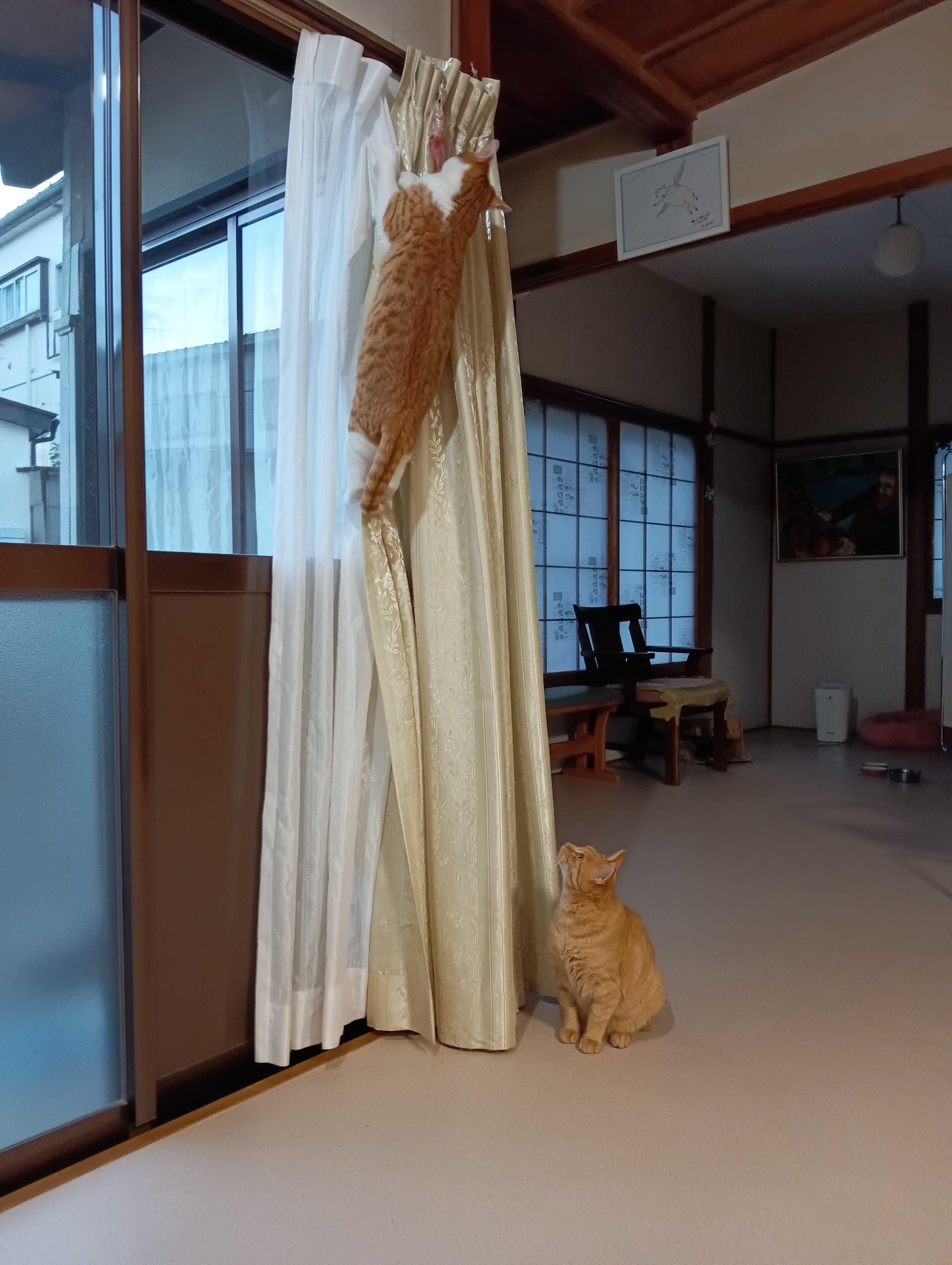 　　　　　　　　　　　　　　　　　　　　　　　　　　　　　　　　　　わかってるよー