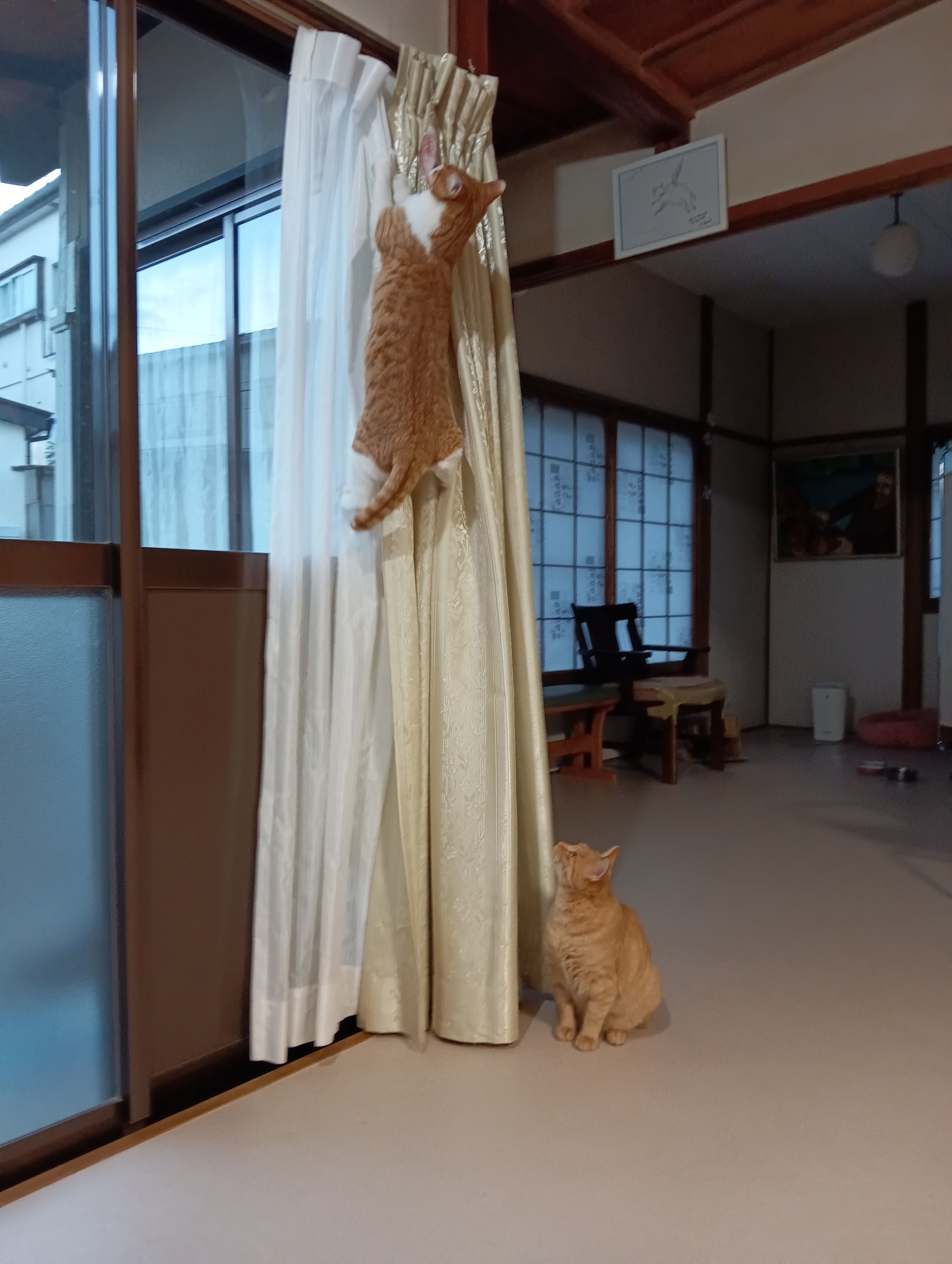 　　　　　　　　　　　　　　　　　　　　　　　　　　　　　　　だからこうして・・・・