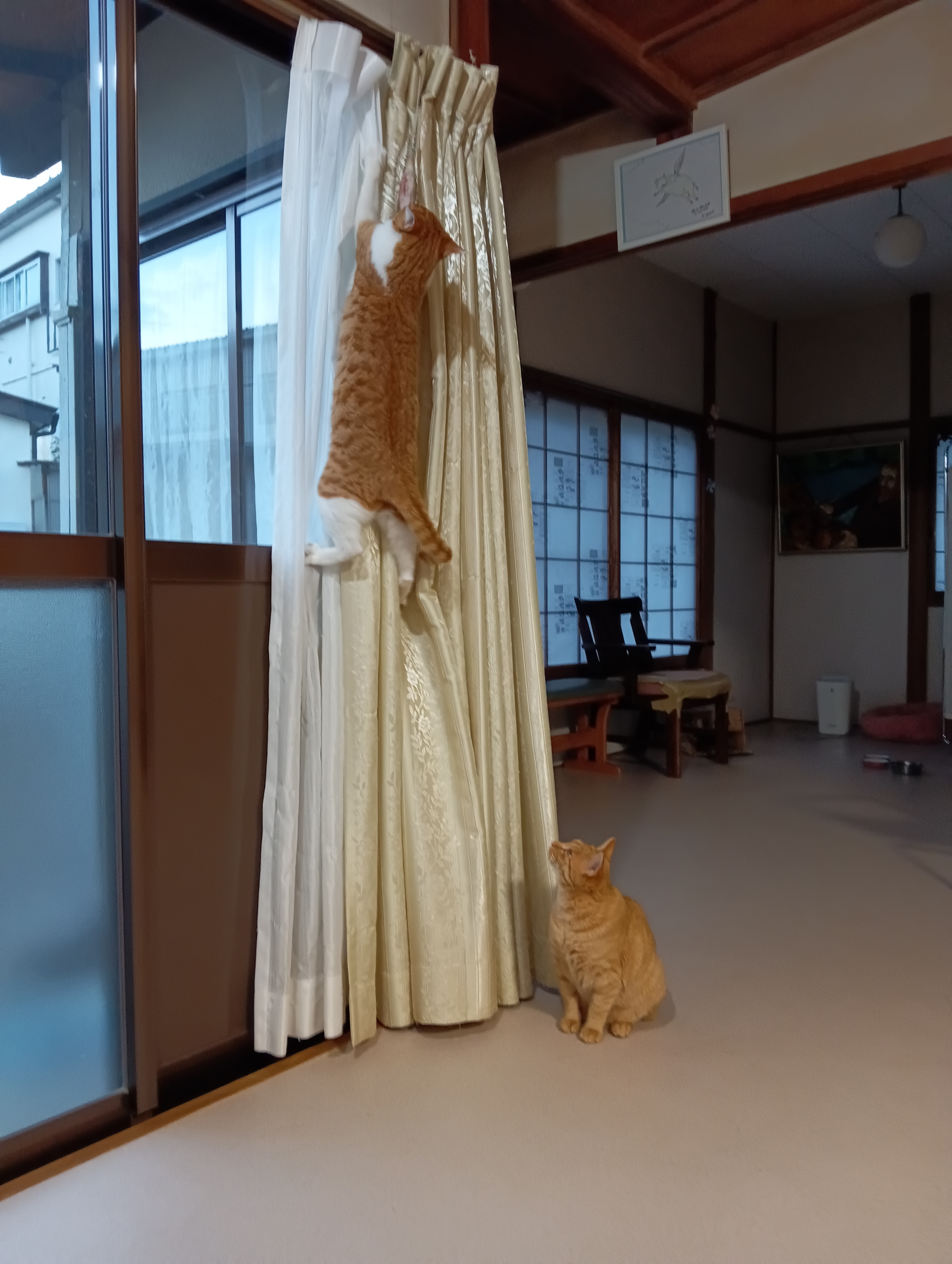                                                               こうやって