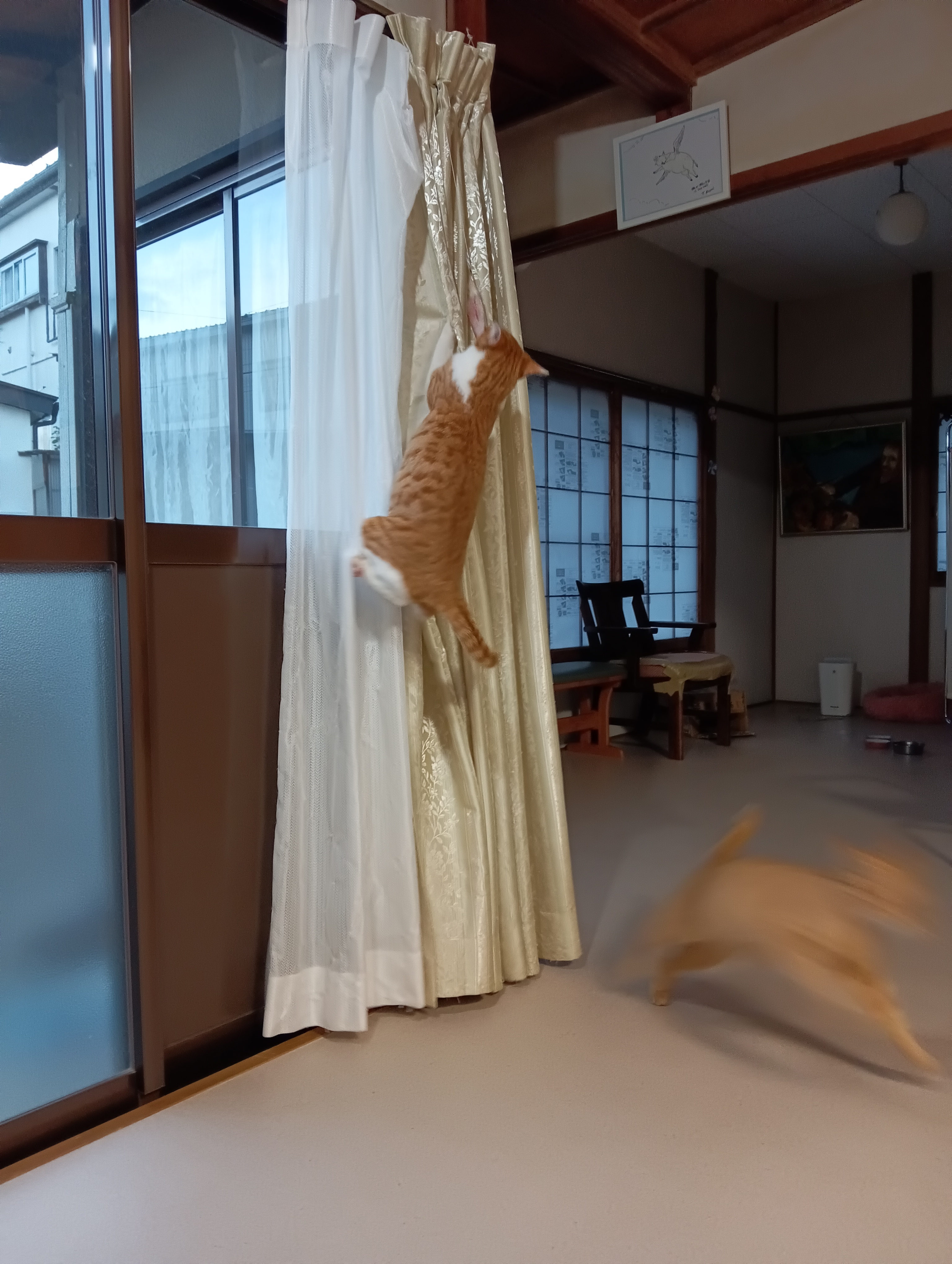 　　　　　　　　　　　　　　　　　　　　　　　　　　あ！ヤバイ！！　　　　あたち逃げる！