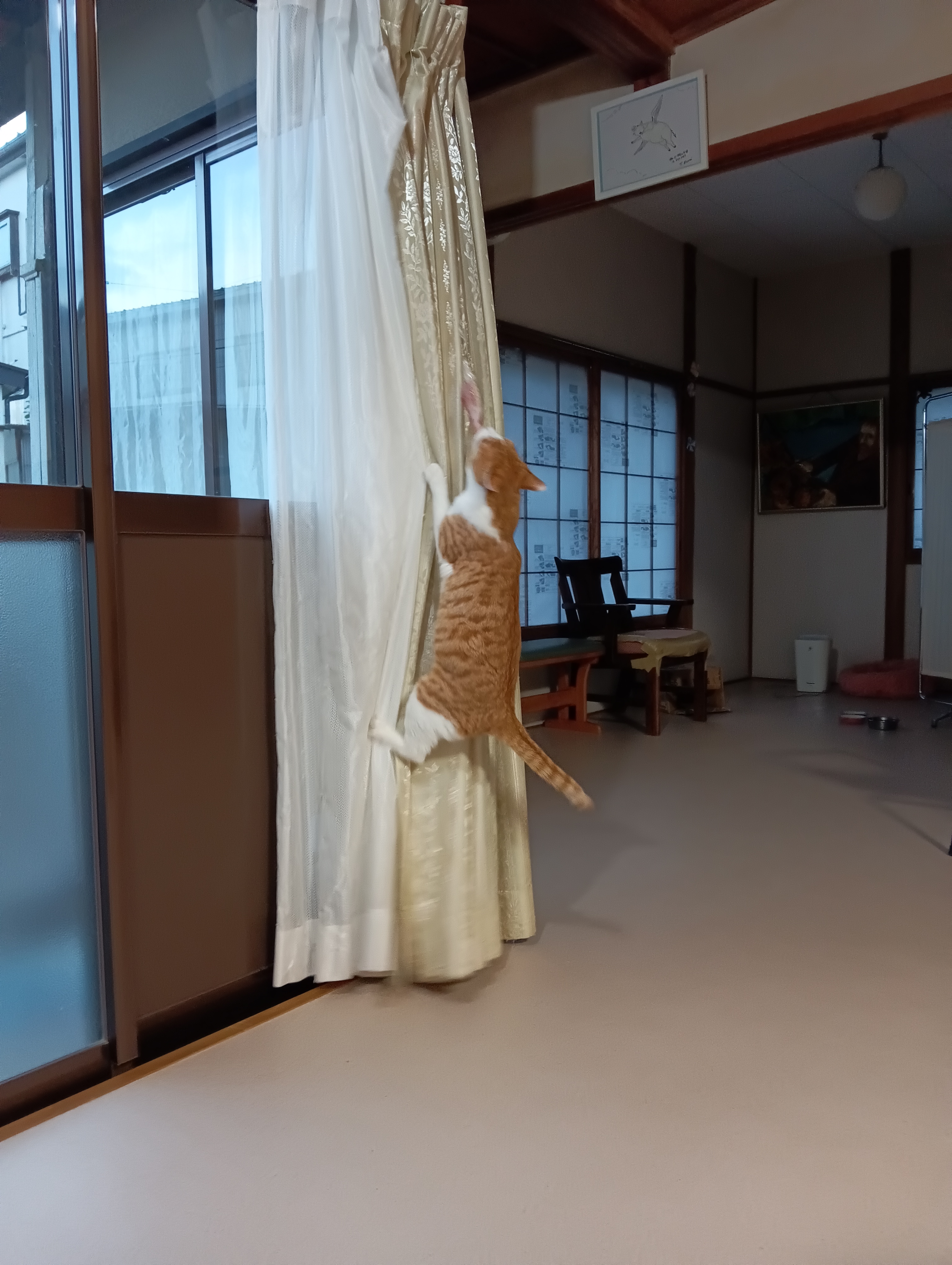 　　　　　　　　　　　　　　　　　　　　　　　　　　　　　　　　　　なんとか、たてなおしたぞ