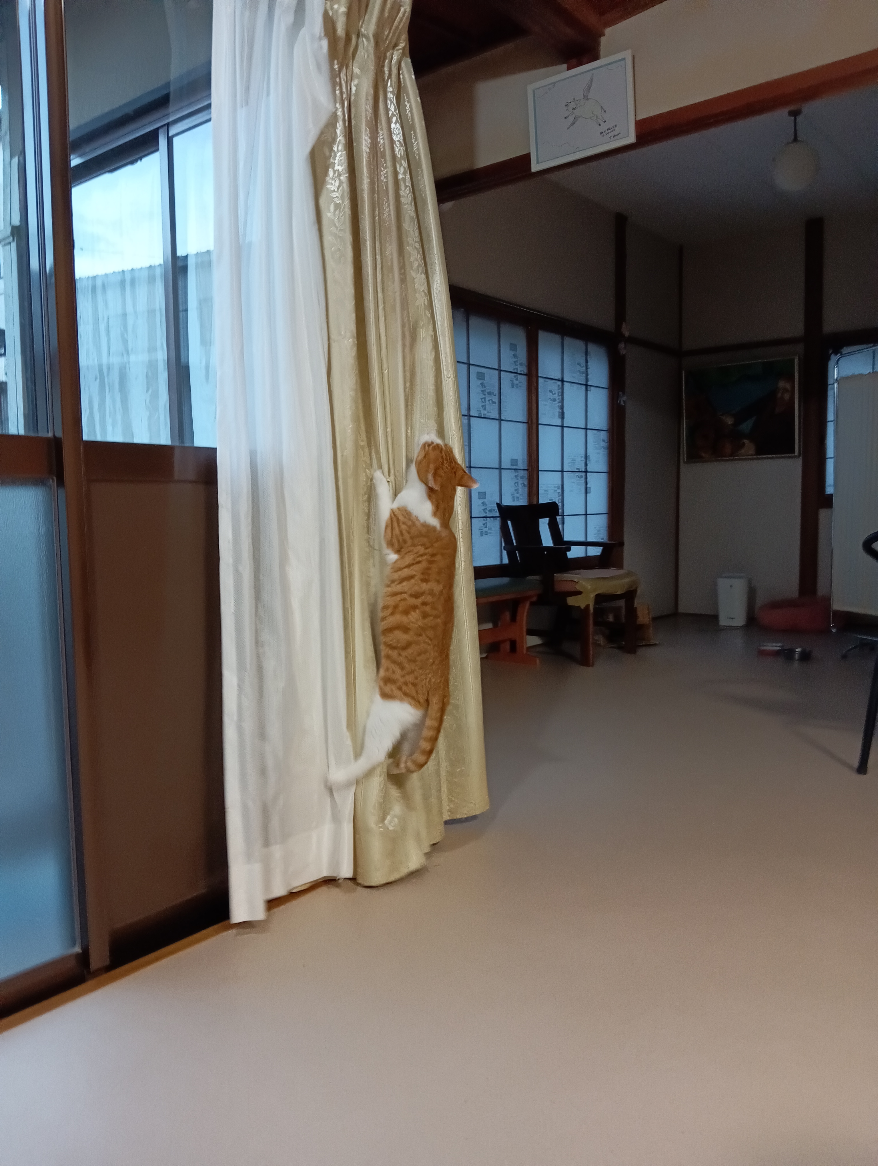 　　　　　　　　　　　　　　　　　　　　　　　　　それにしても、チーちゃんヒト（ネコ？）に説教しておいて…