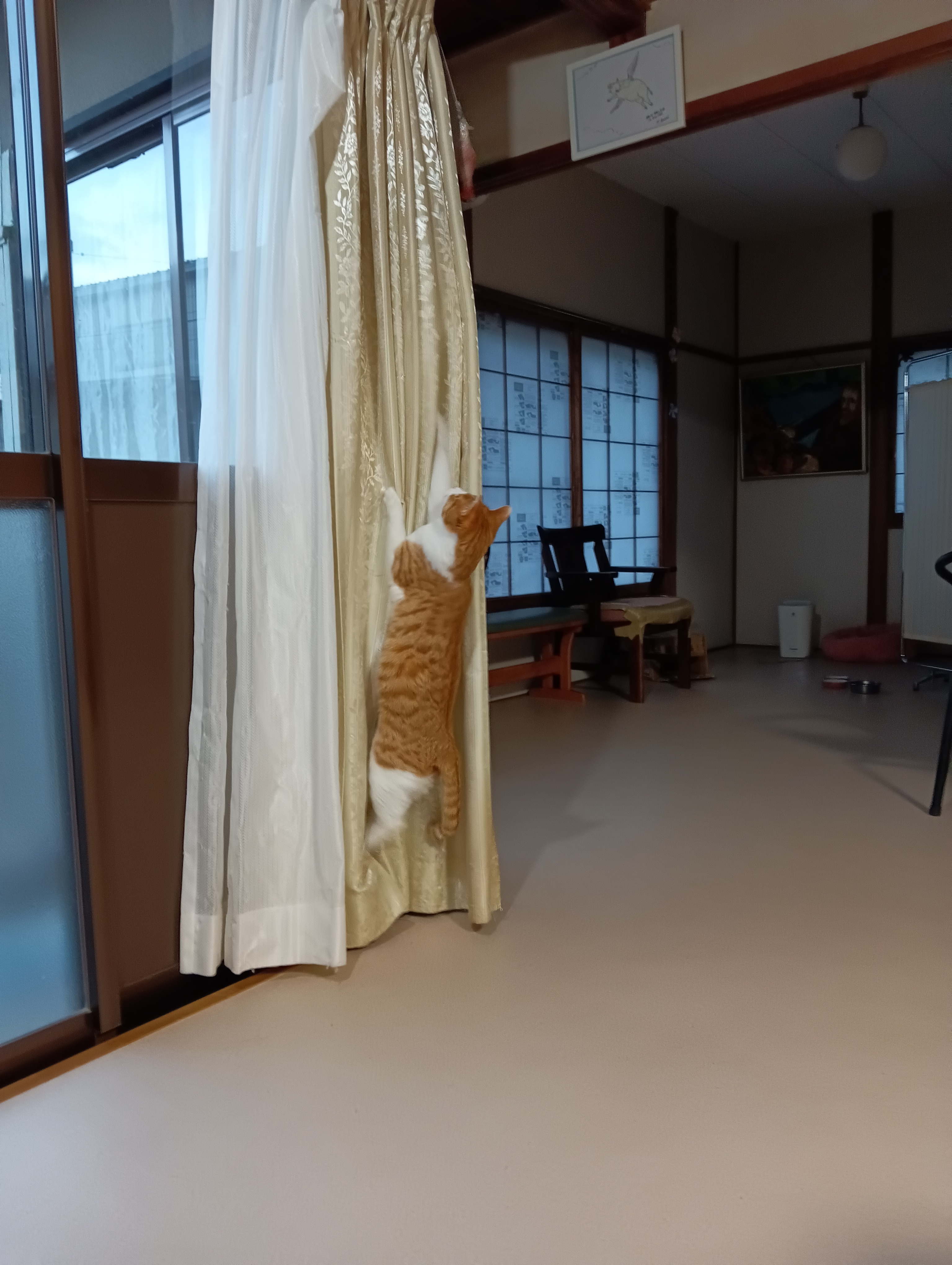 　　　　　　　　　　　　　　　　　　　　　　　　　　　　　　　　　　もう少しにゃ
