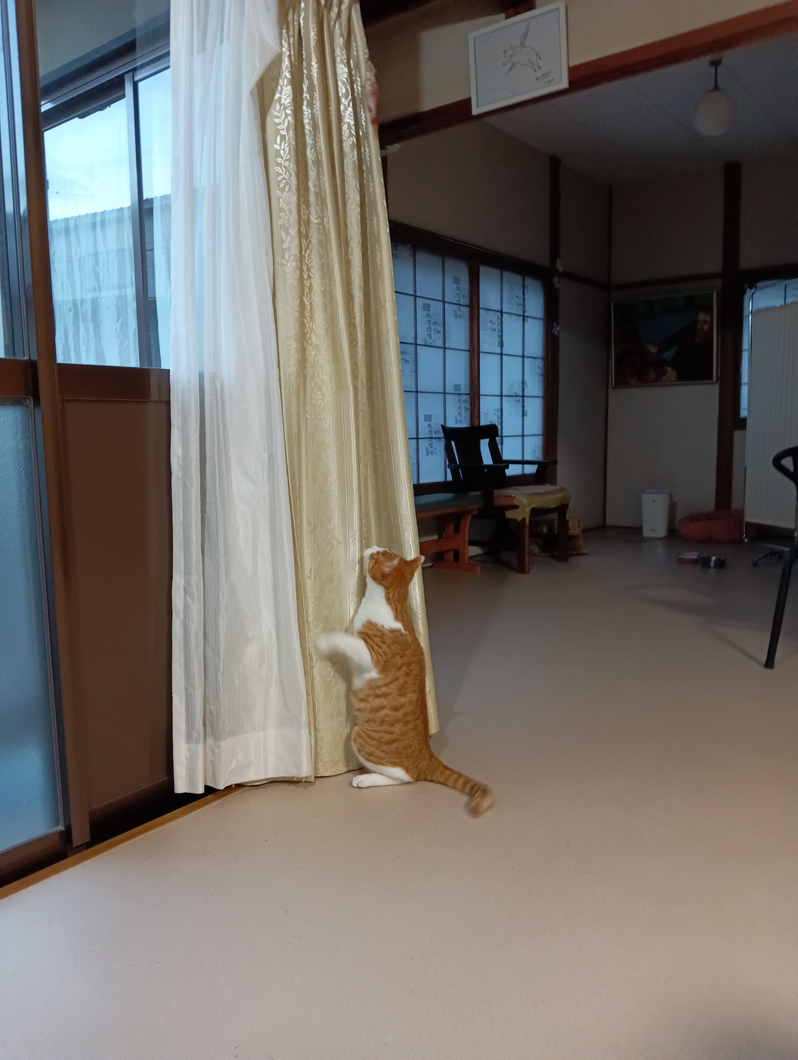 　　　　　　　　　　　　　　　　　　　　　　　　　　　　　　ホ！　みごと着地！