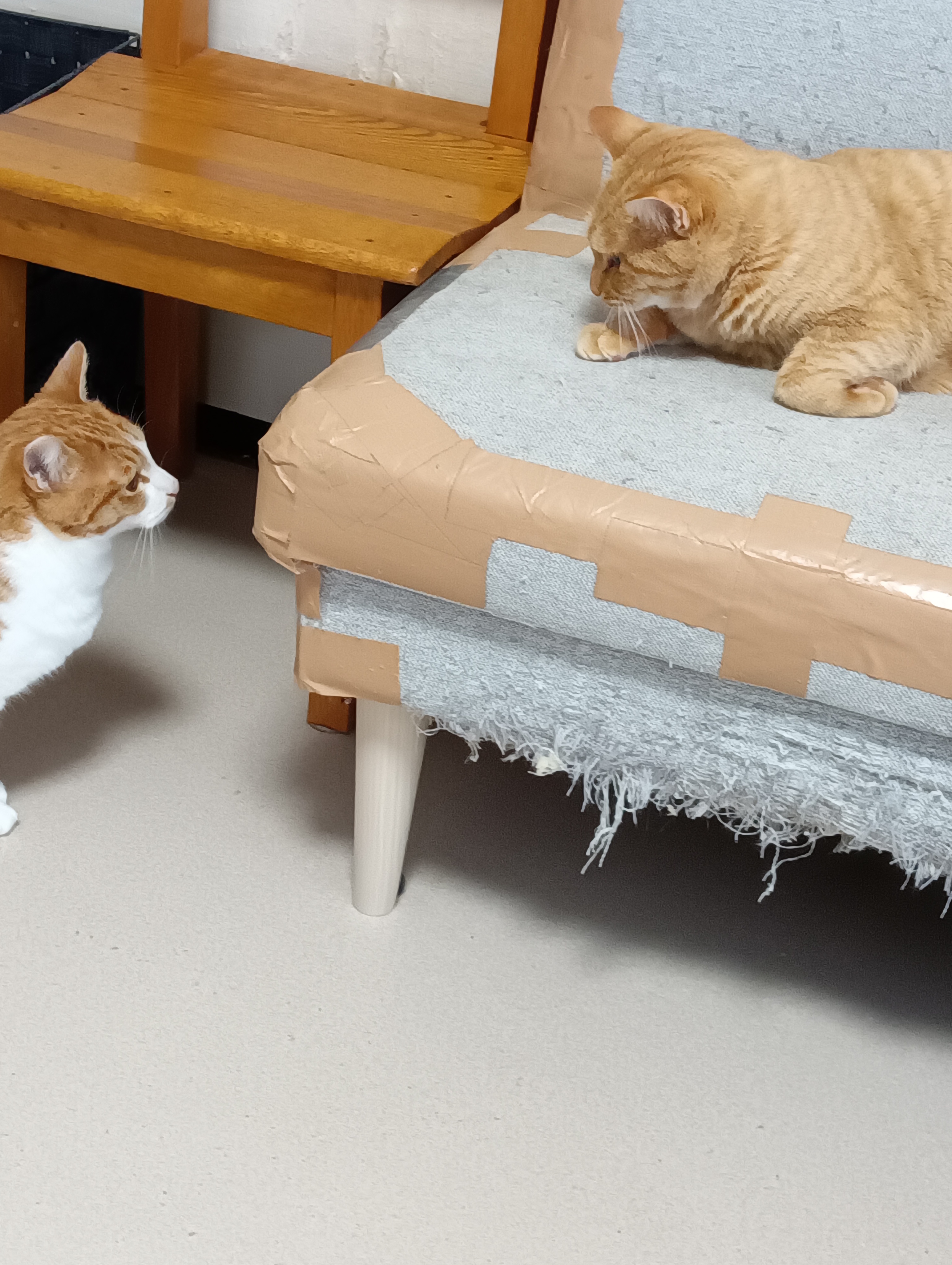                                                 次、なにいたずらしようか。　　　　　　「次はねえ、・・・・・・・・」