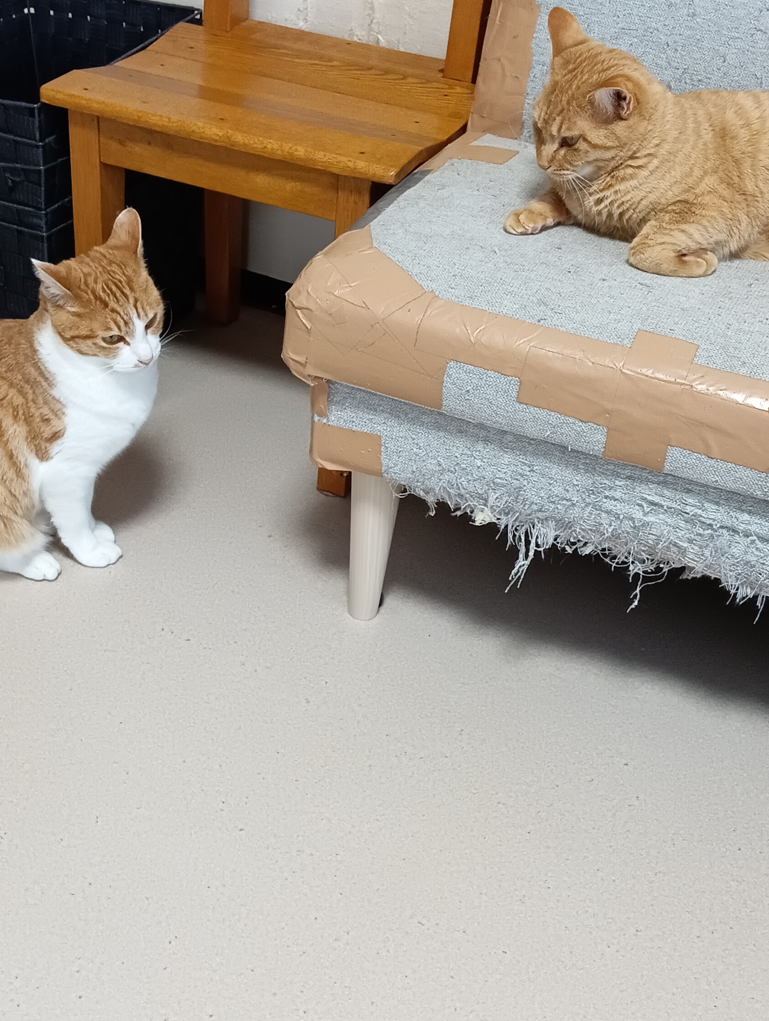 　　　　　　　　　　　　　　　　　　　　　　　　　わるいけどぼくおりるよ　　なによ！いくじなし！