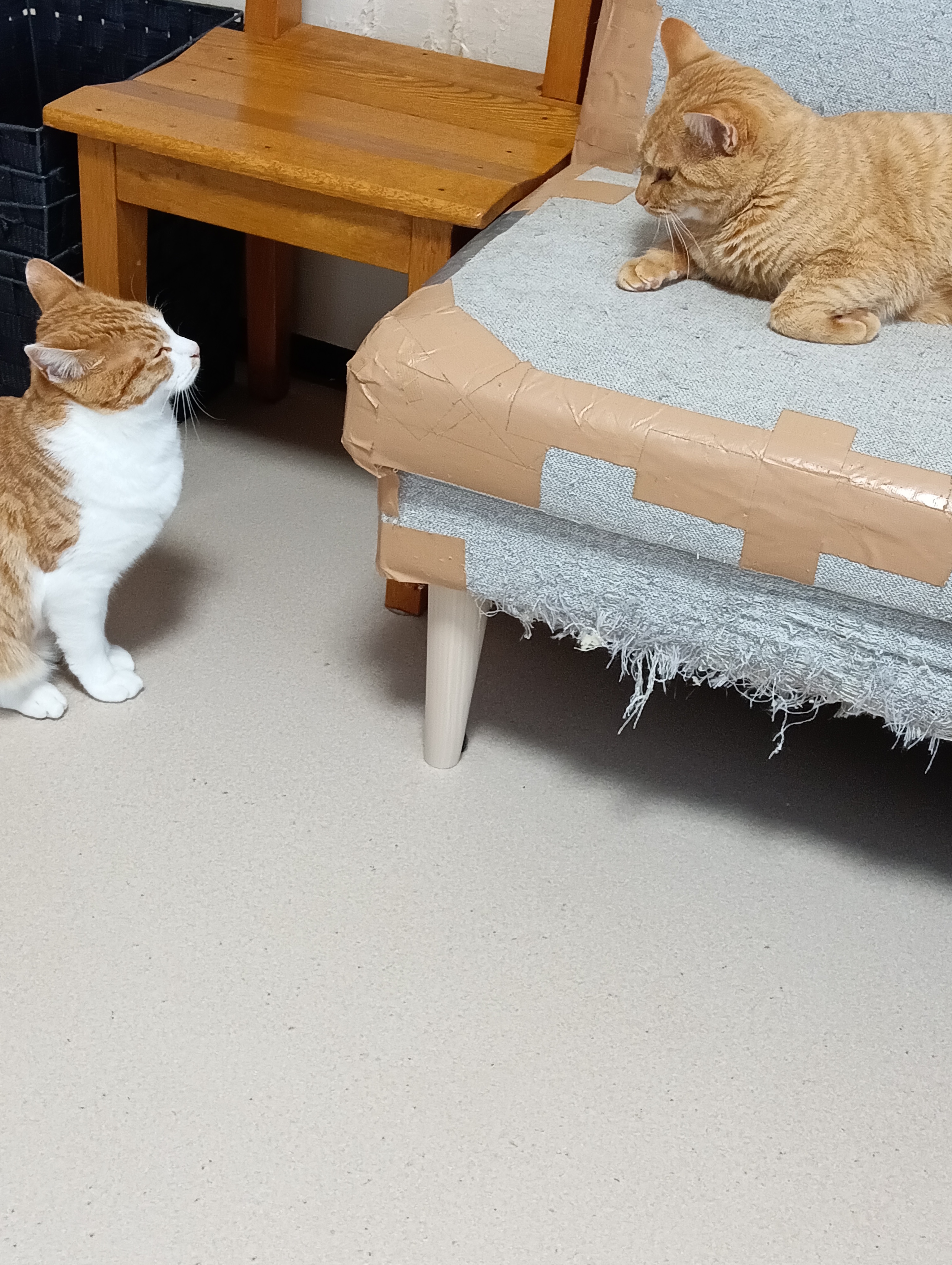                                                            そりゃあヤバイよ　　大丈夫よ