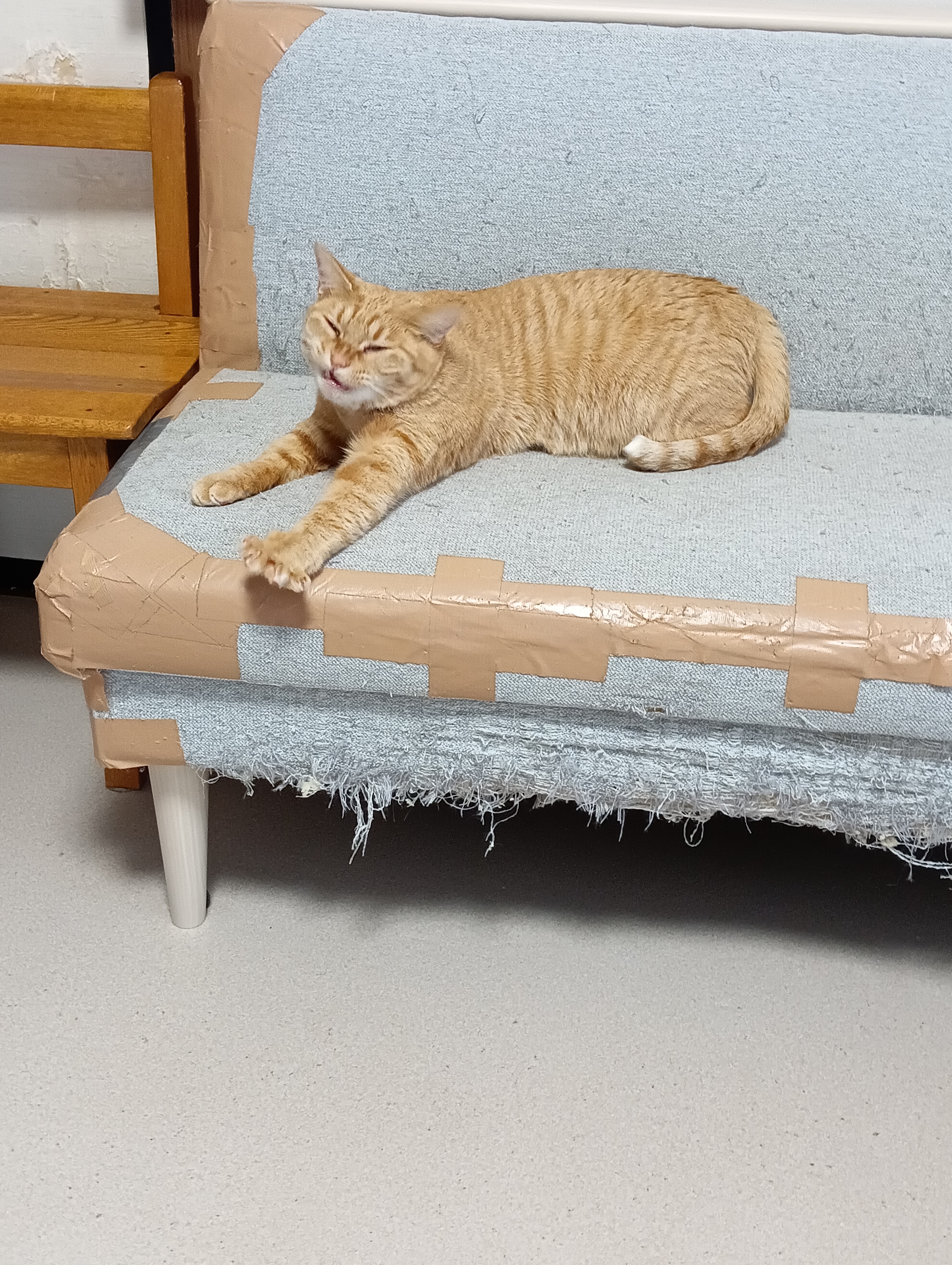 　　　　　　　　　　　　　　　　　　　　　　　　　　　ウーン、ひまだにゃあ、こんな生活もうやだー