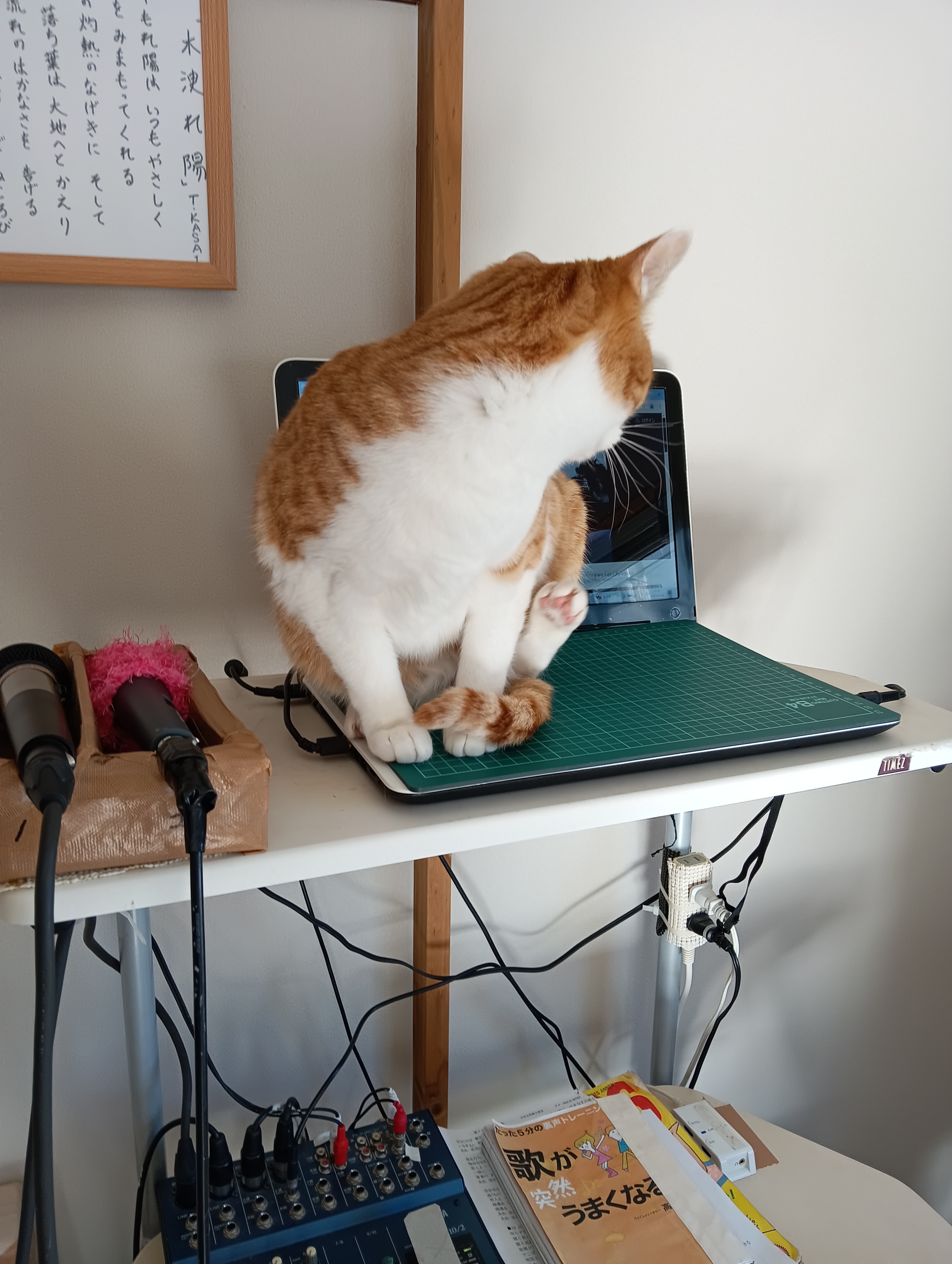 　　　　　　　　　　　　　　　　　　　　　　　　まずはぼくパソコン得意、ITエンジニアがいいかにゃ
