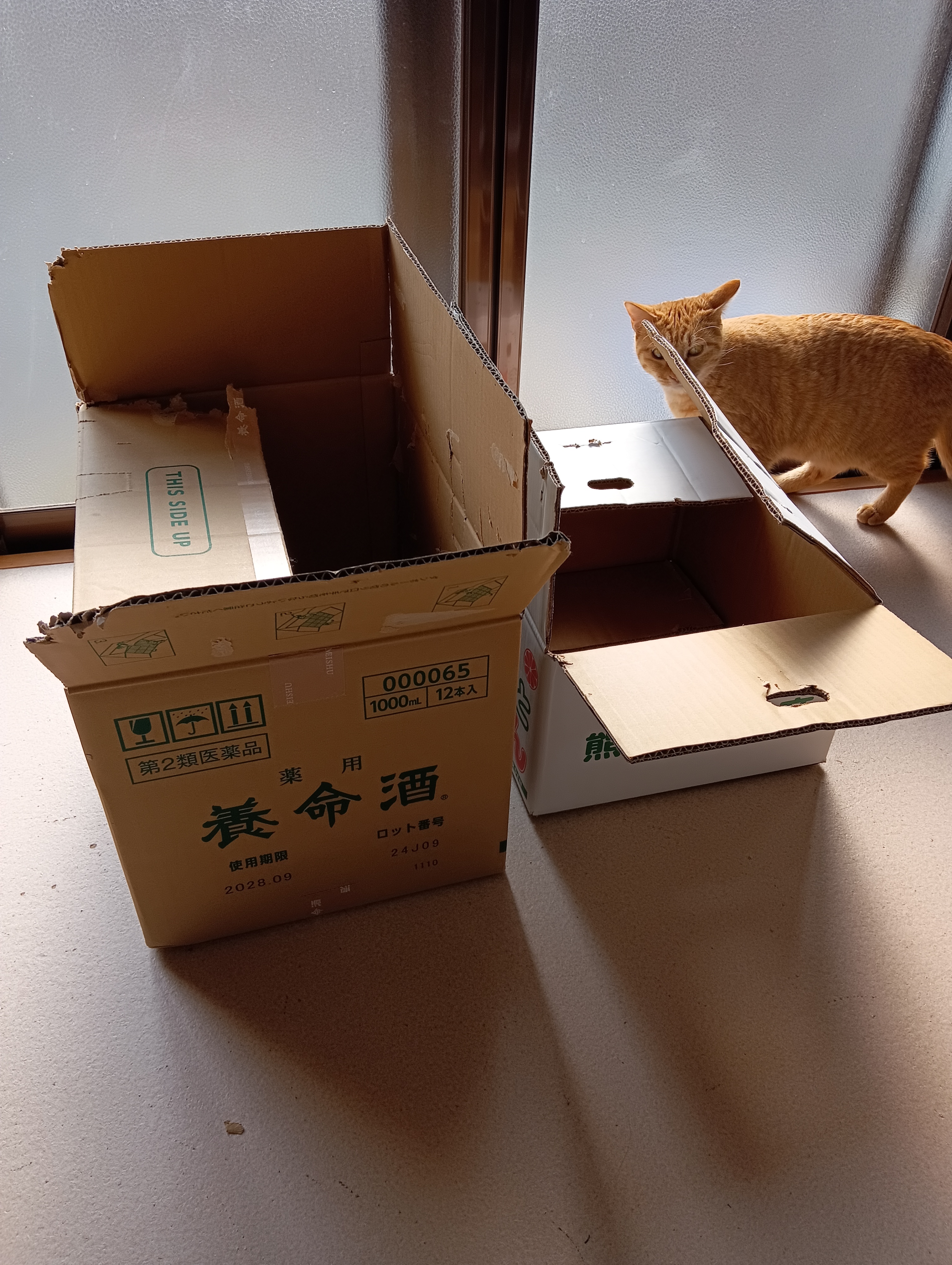                                大きな家と小さな家が並んで建っておりました。そこへチーちゃんがやってきました