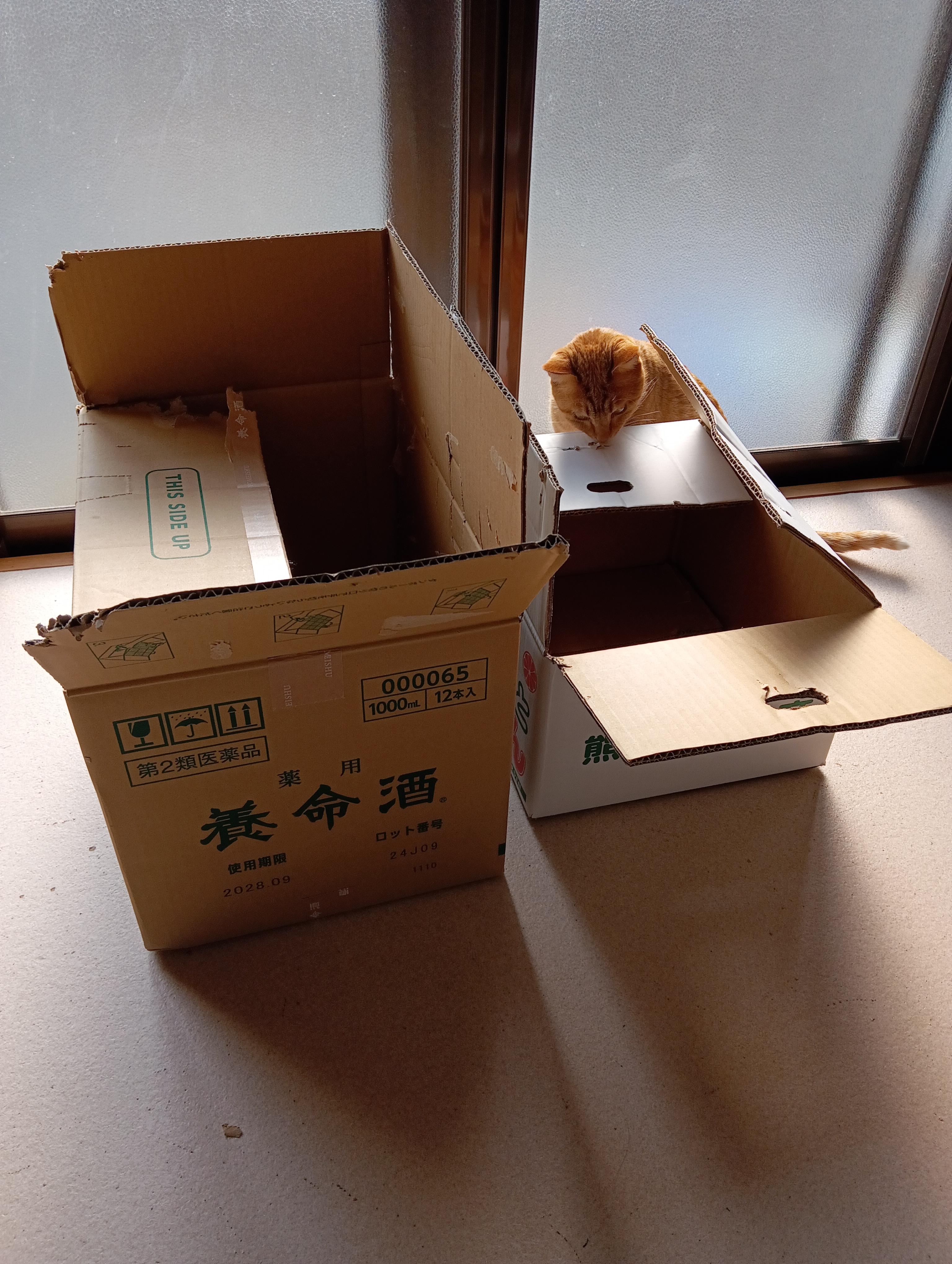 　　　　　　　　　　　　　　　　　　　　　　　　　　　　　　あたちは小さいおうちがいいわ