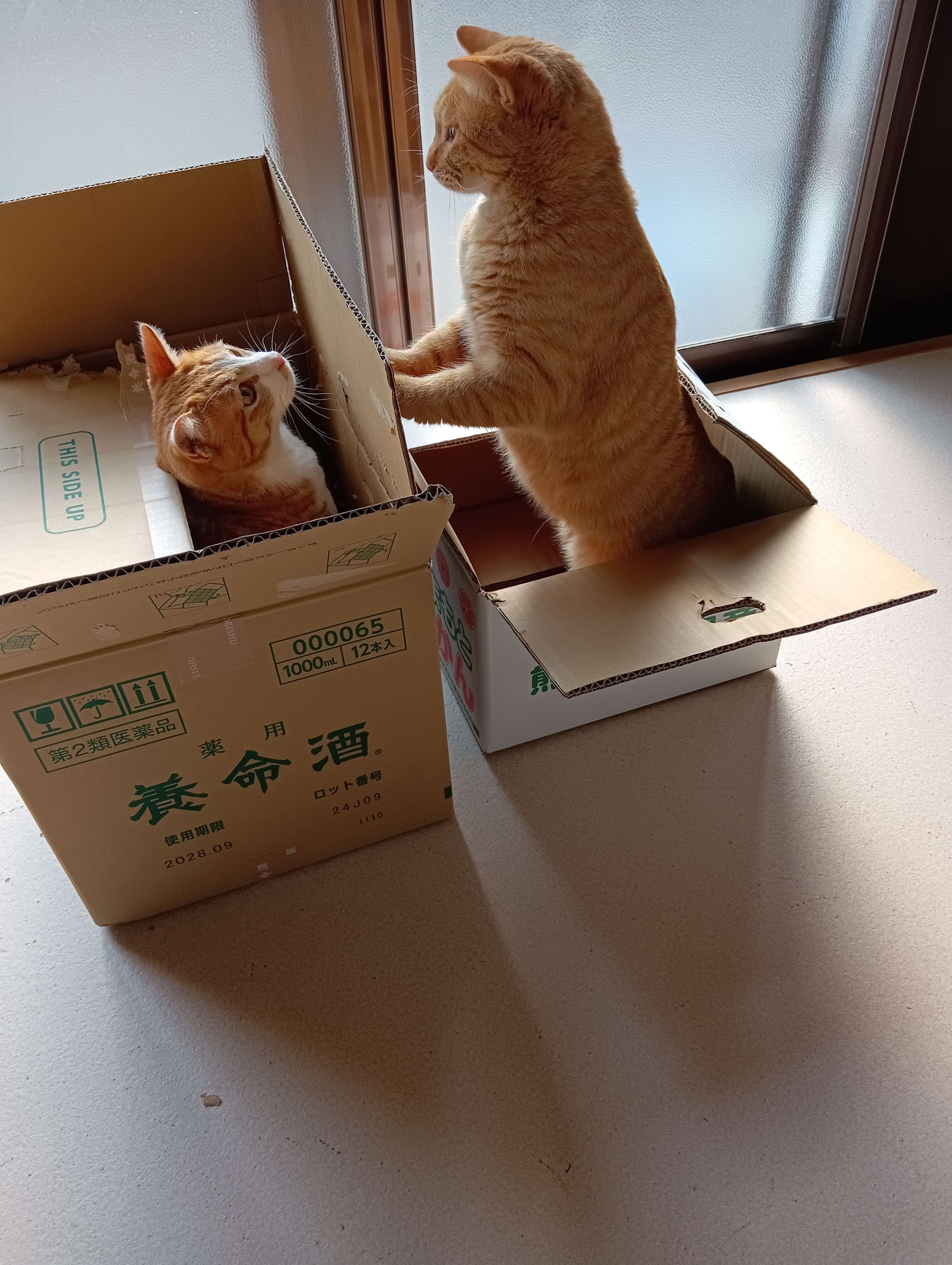 　　　　　　　　　　　　　　　　　　　　　　やだよ～　　　あら、あたちのいうことがきけないの、みてらっしゃい
