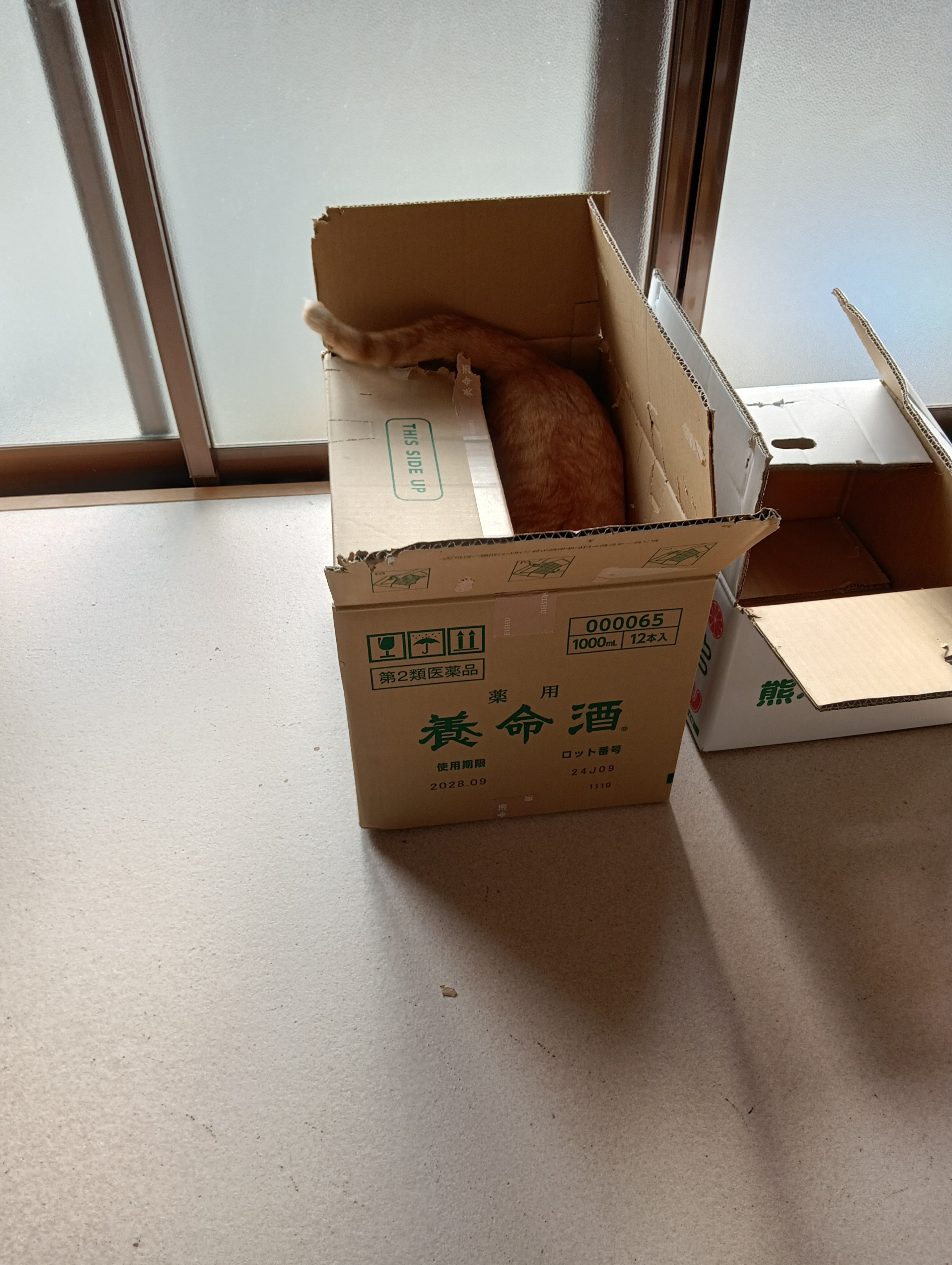 　　　　　　　　　　　　　　　　　　　　　　　　　　　　　よいしょっと、広くて快適だわね