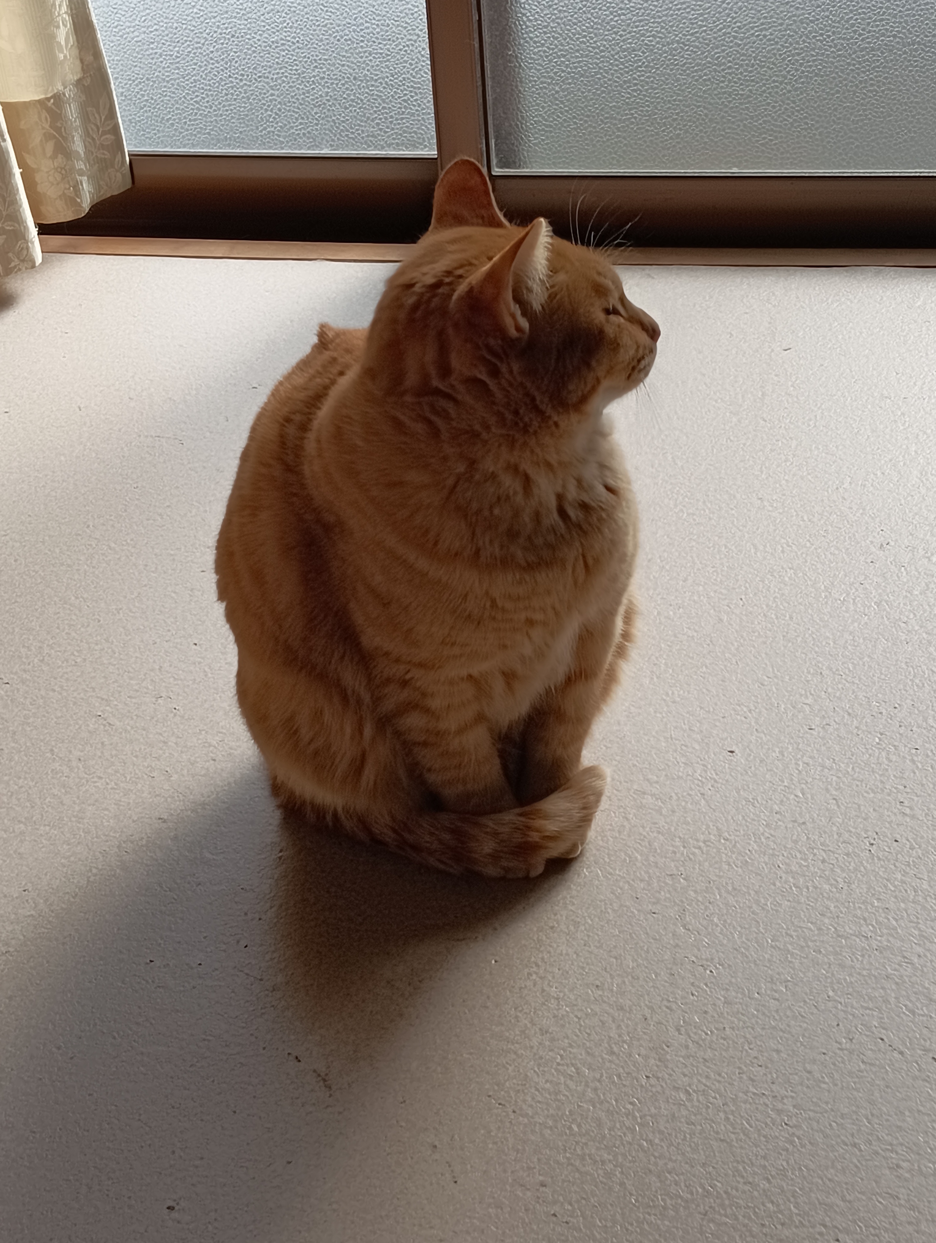 　　　　　　　　　　　　　　　　　　　ふん！あんなやつ、あたちのほうからフッてやるわ！