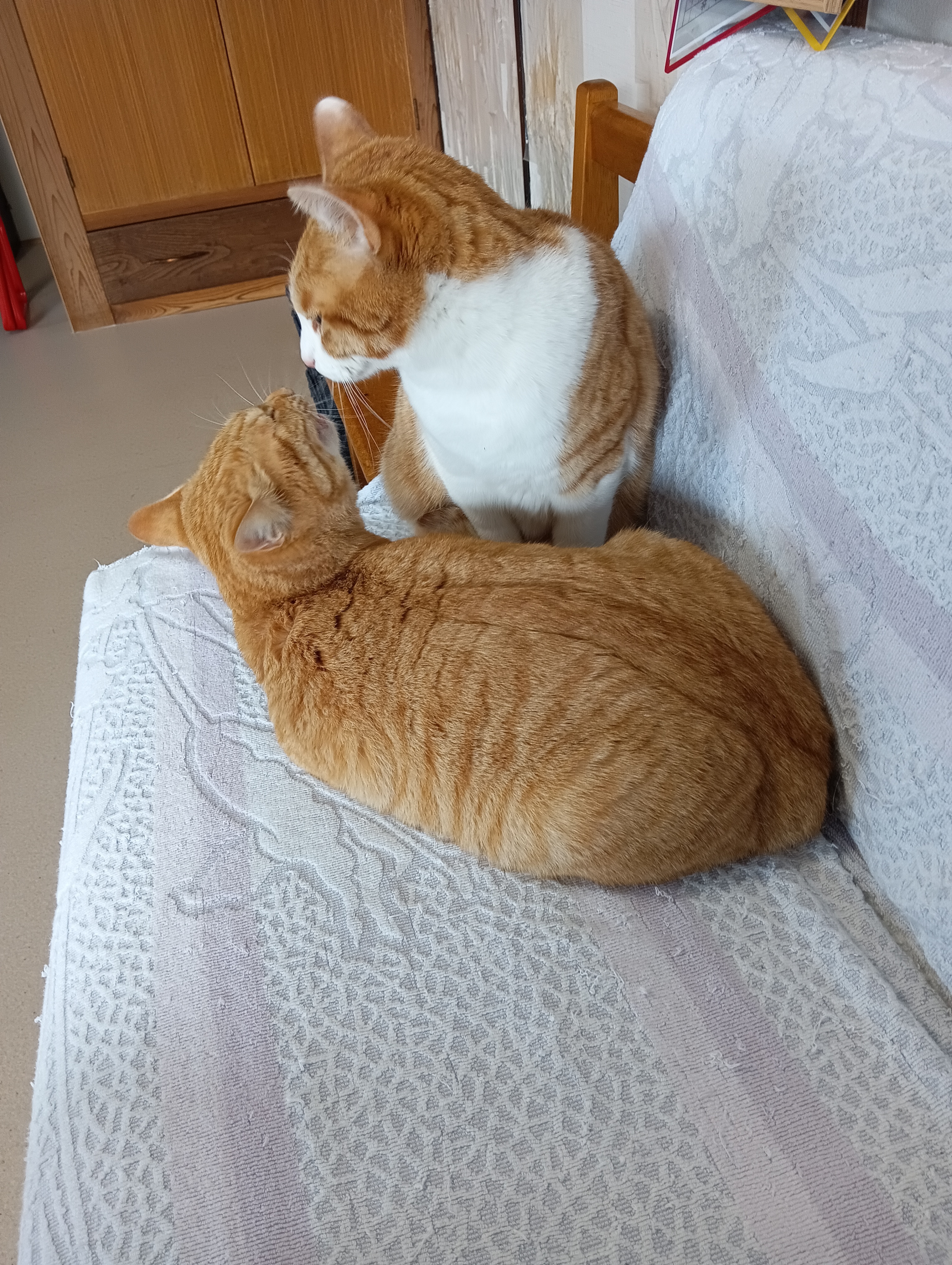                                                   愛してる？　うんアイシテルヨ　　よかった❤