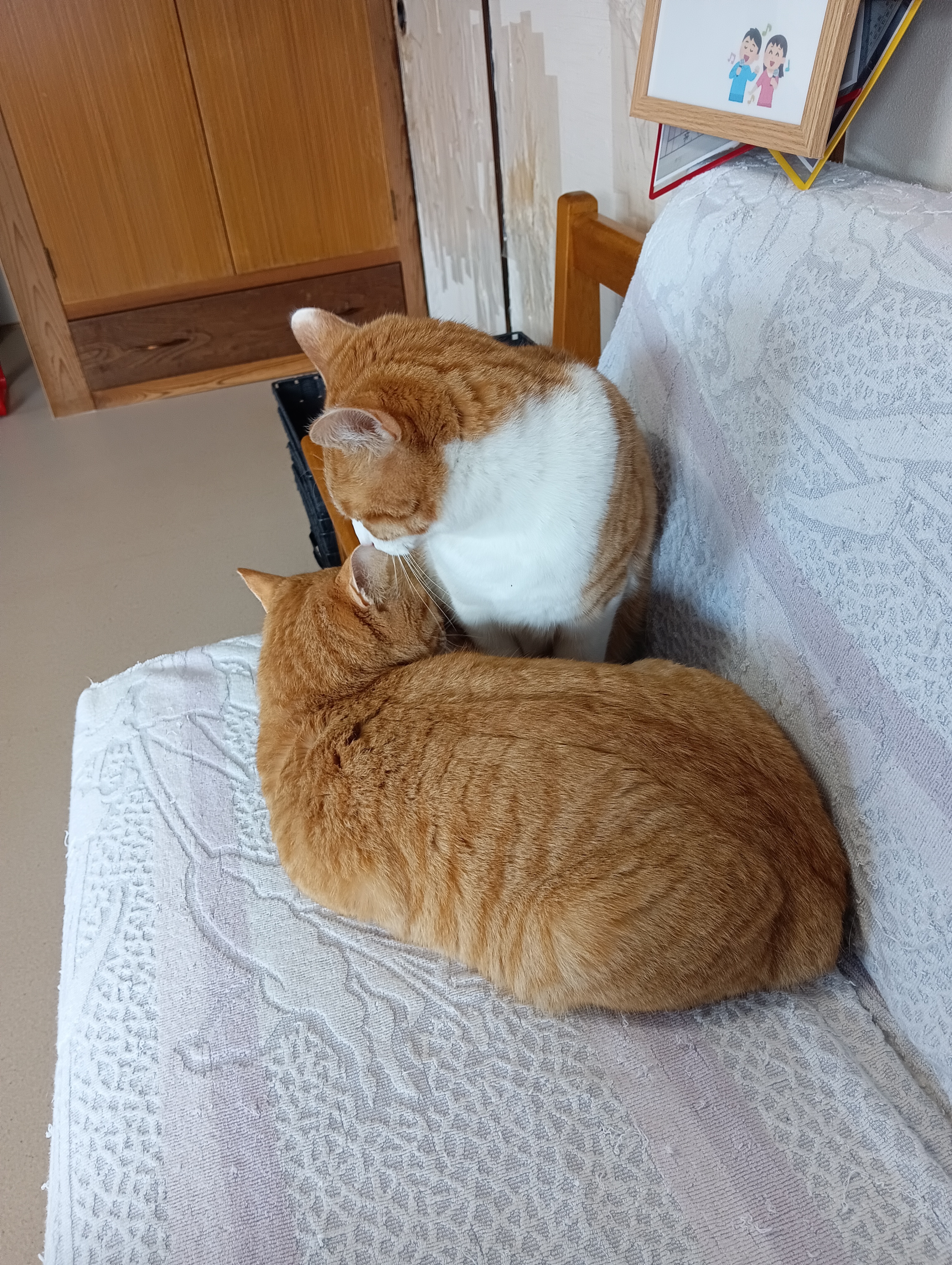 　　　　　　　　　　　　　　　　　　　　　　　　　　　　　　　　　　❤二匹だけの世界❤