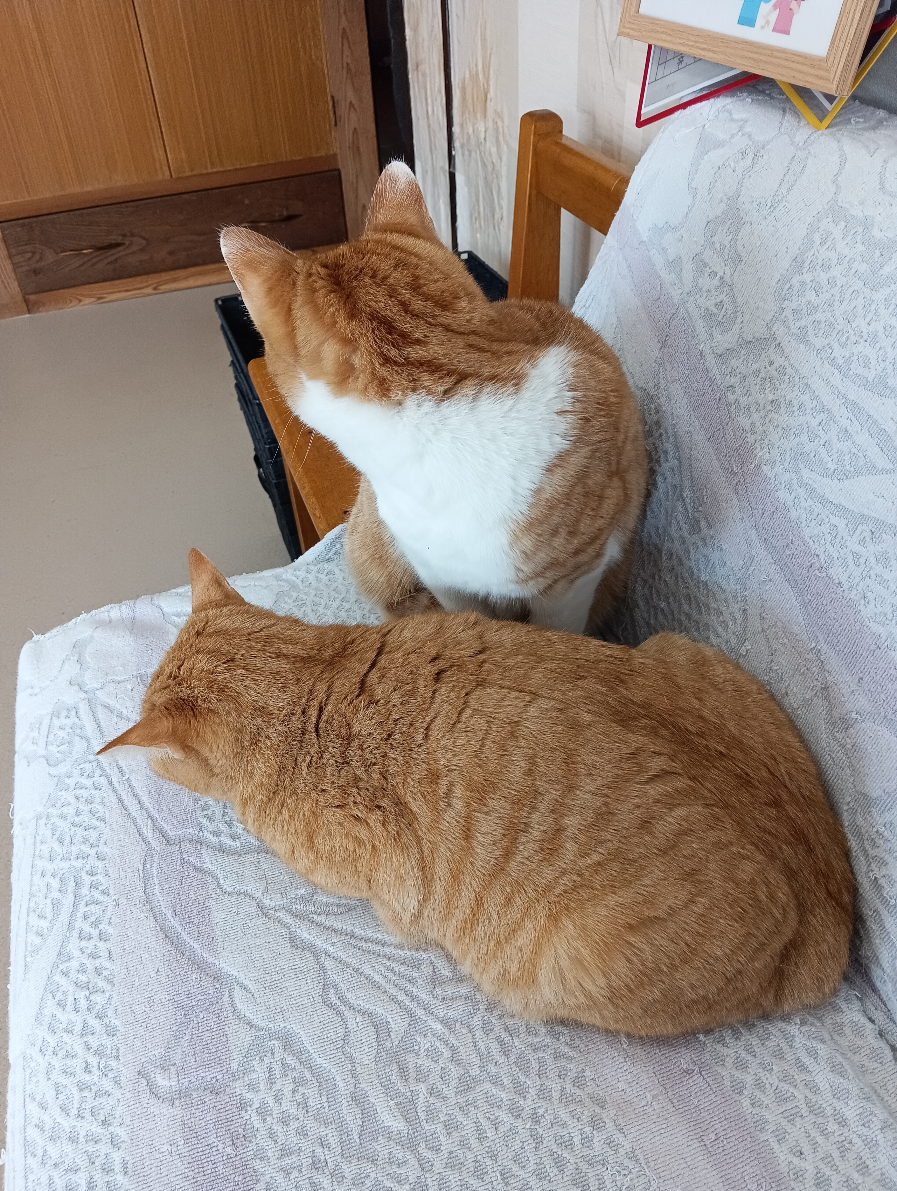 　　　　　　　　　　　　　　　　　　　　　　　　　　　　大事な時にニンゲンがきたよ、いやね
