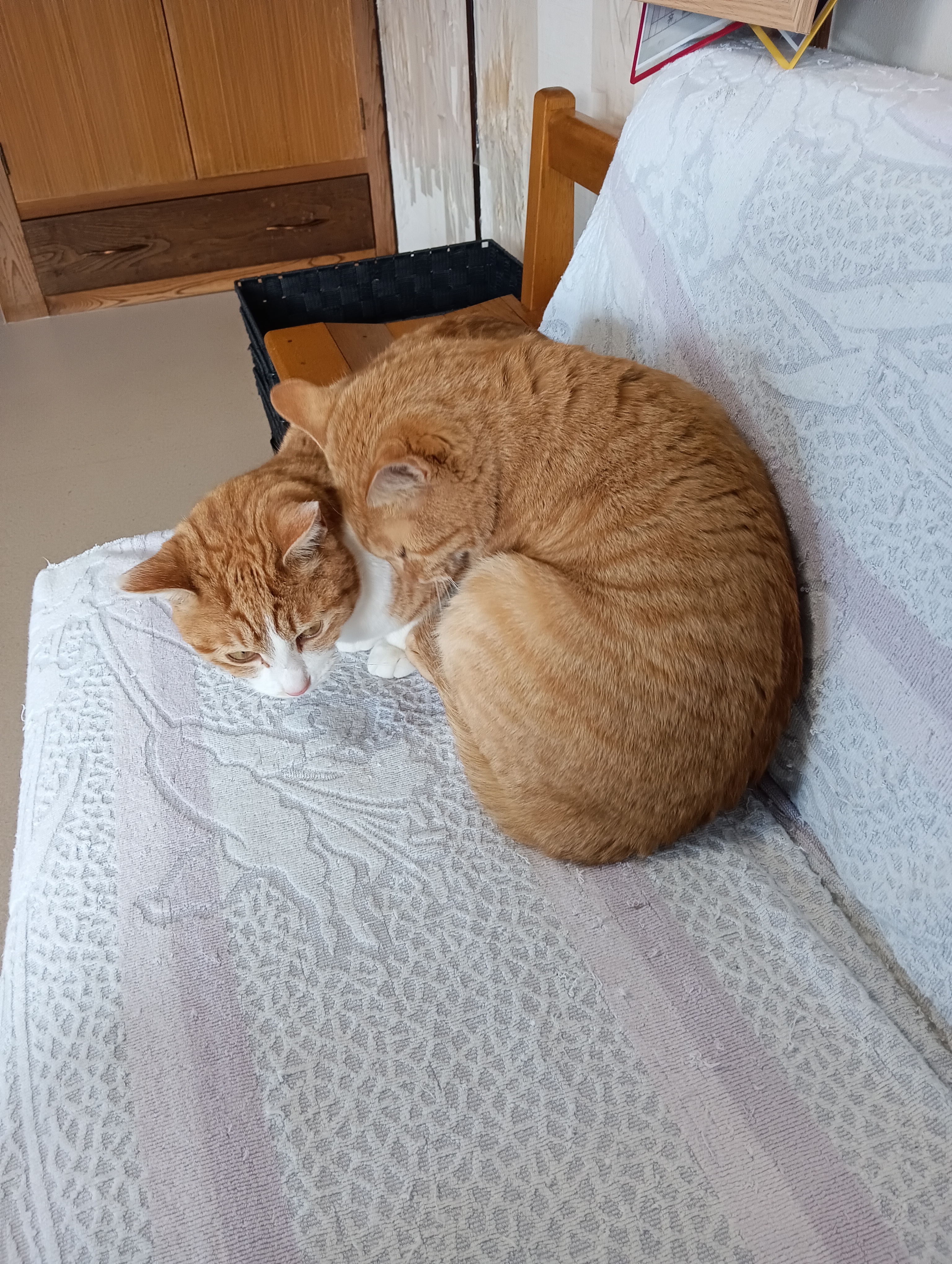 　　　　　　　　　　　　　　　　　　　ちょっとどいて、ニンゲンのところに行くんだから