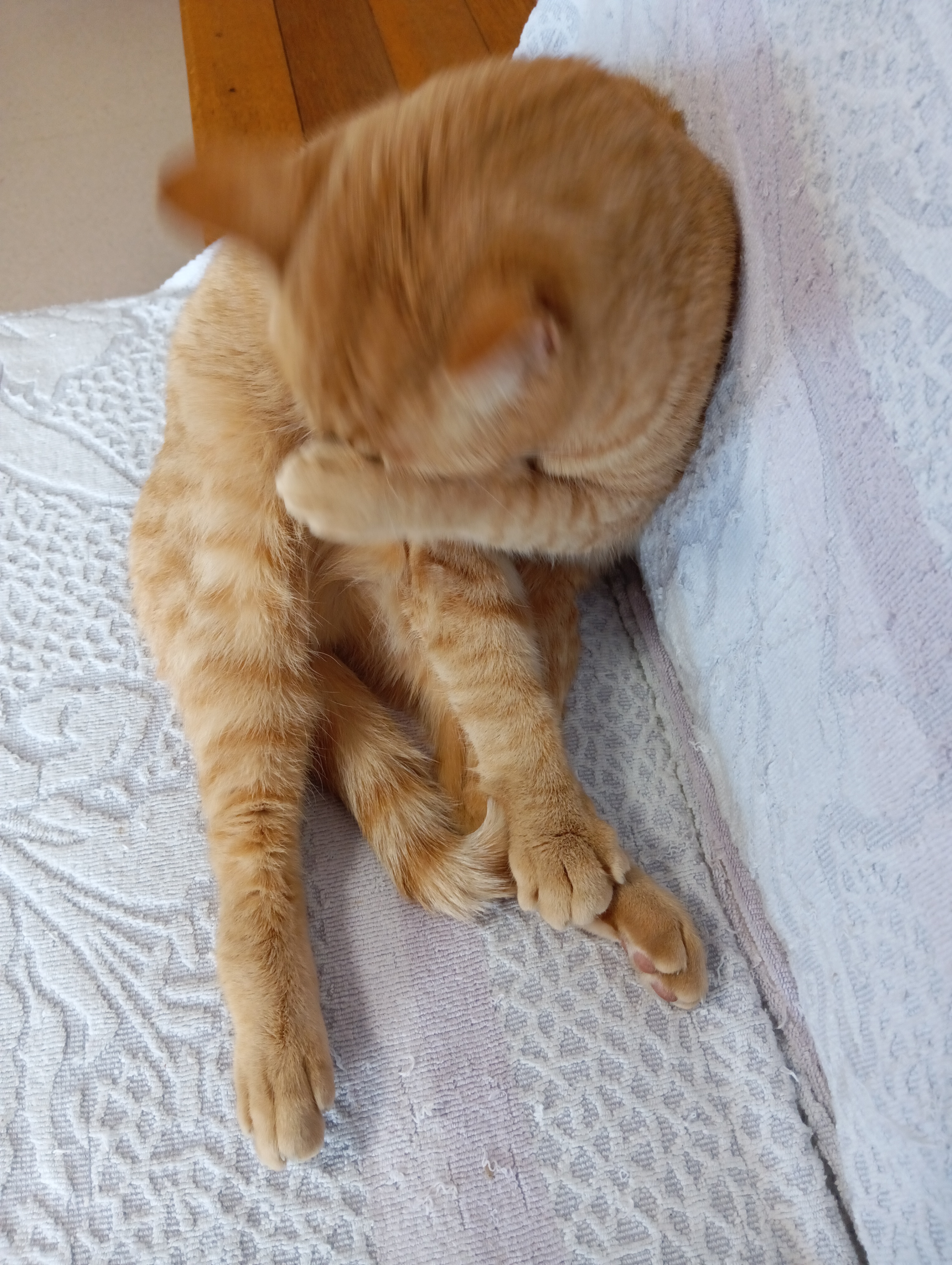 　　　　　　　　　　　　　　　　　　　　　　　　　　なによ！あんなやつ、ぐすん・・・・・・・・（かわいそうなちーこさん、泣かないで・・・）